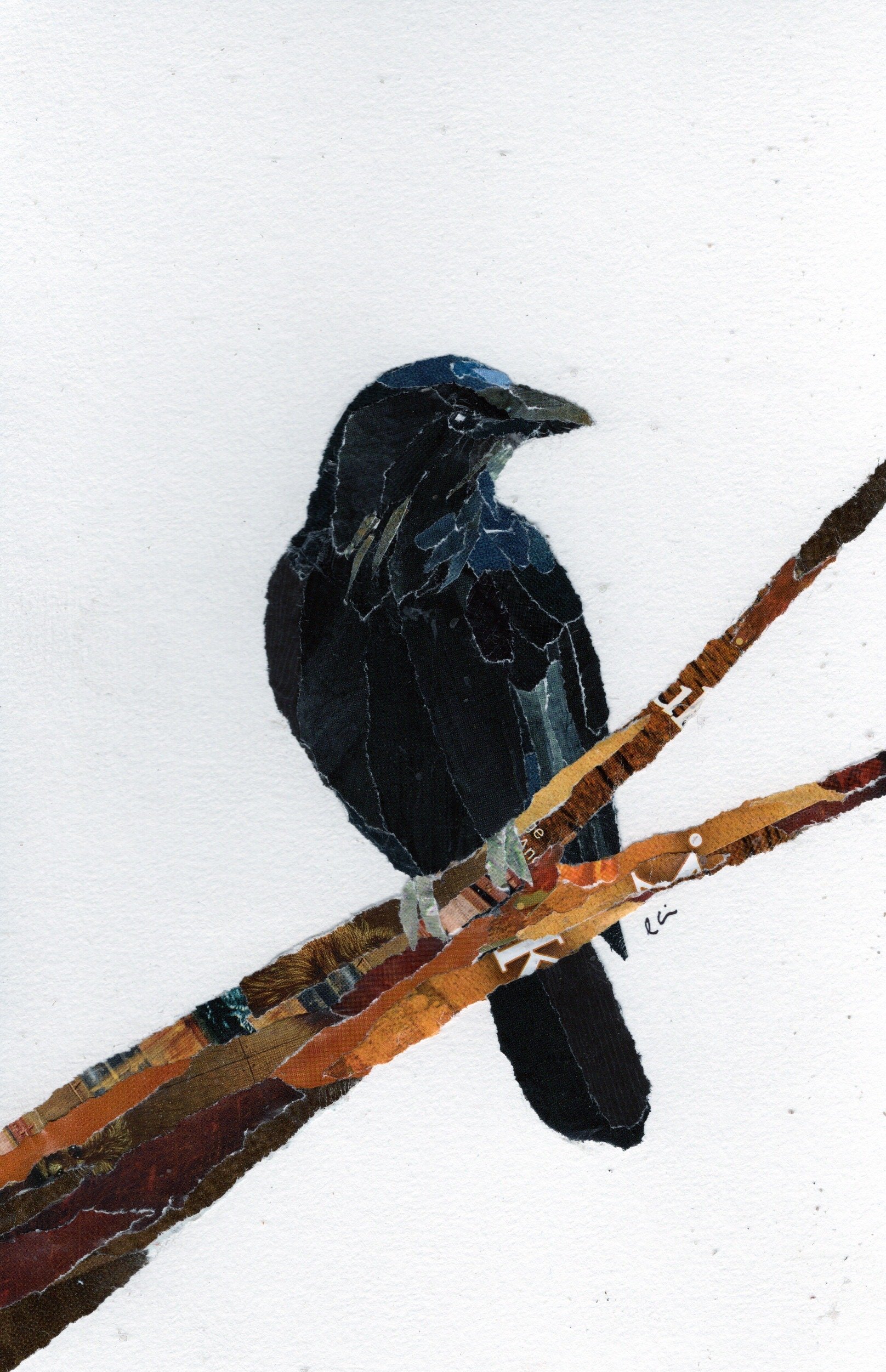 Crow Sitting on a Branch