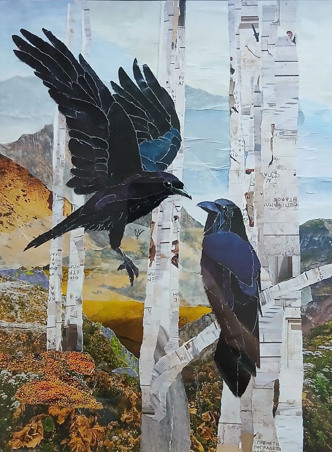 Ravens