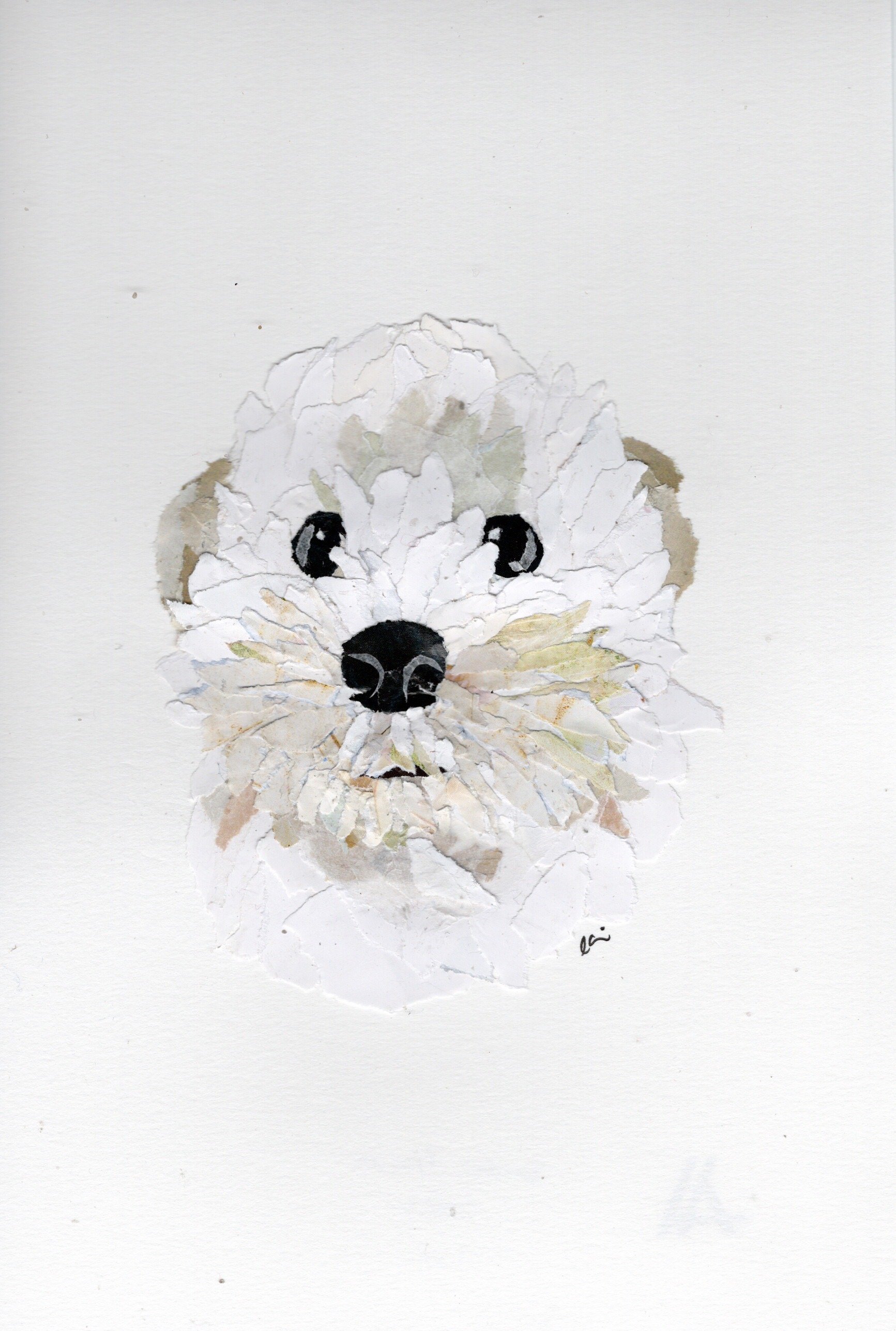 Small Fuzzy White Dog Bust With Sad Eyes and a Black Nose