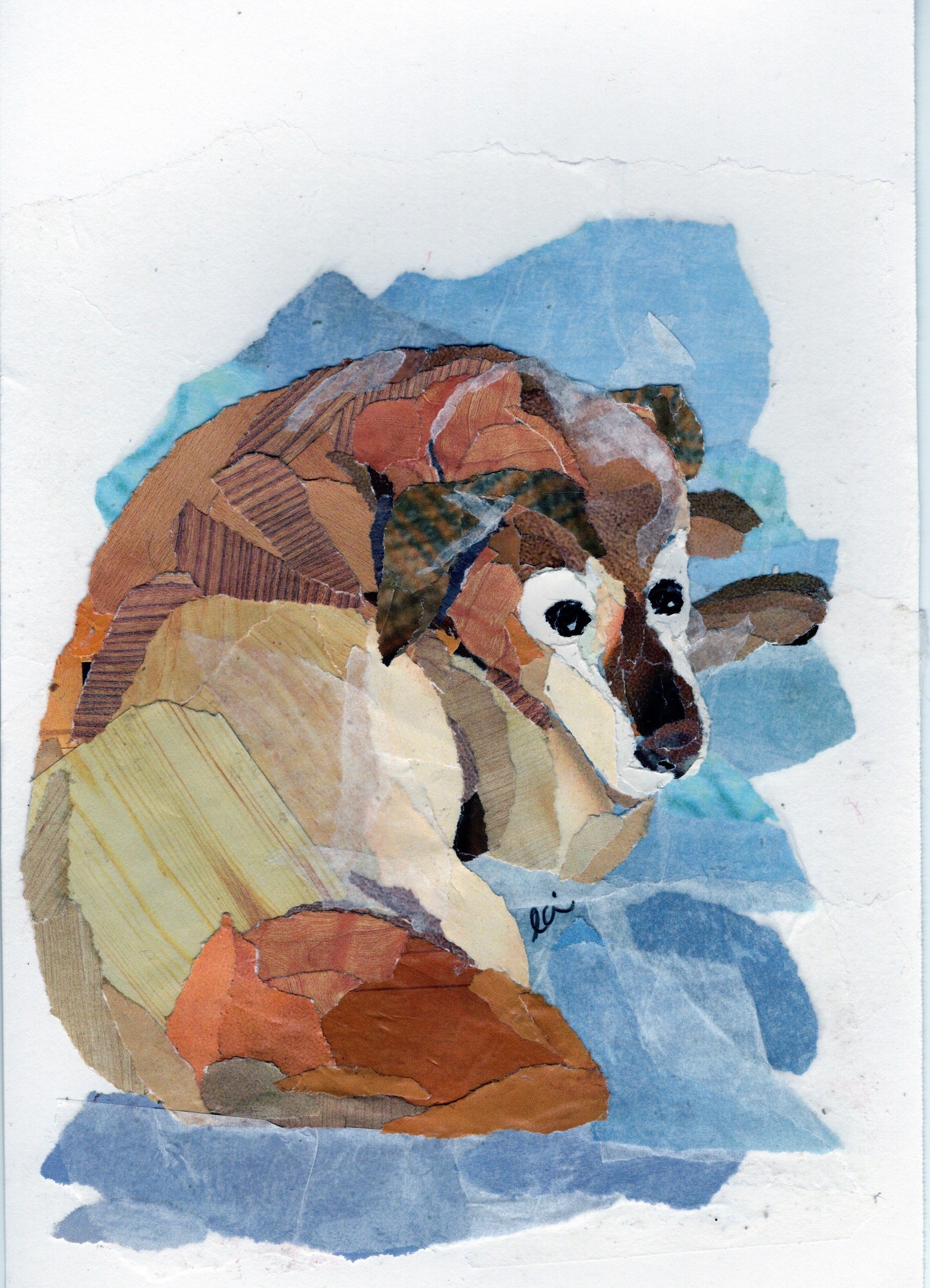 Large Brown Dog Laying Down with Blue Background