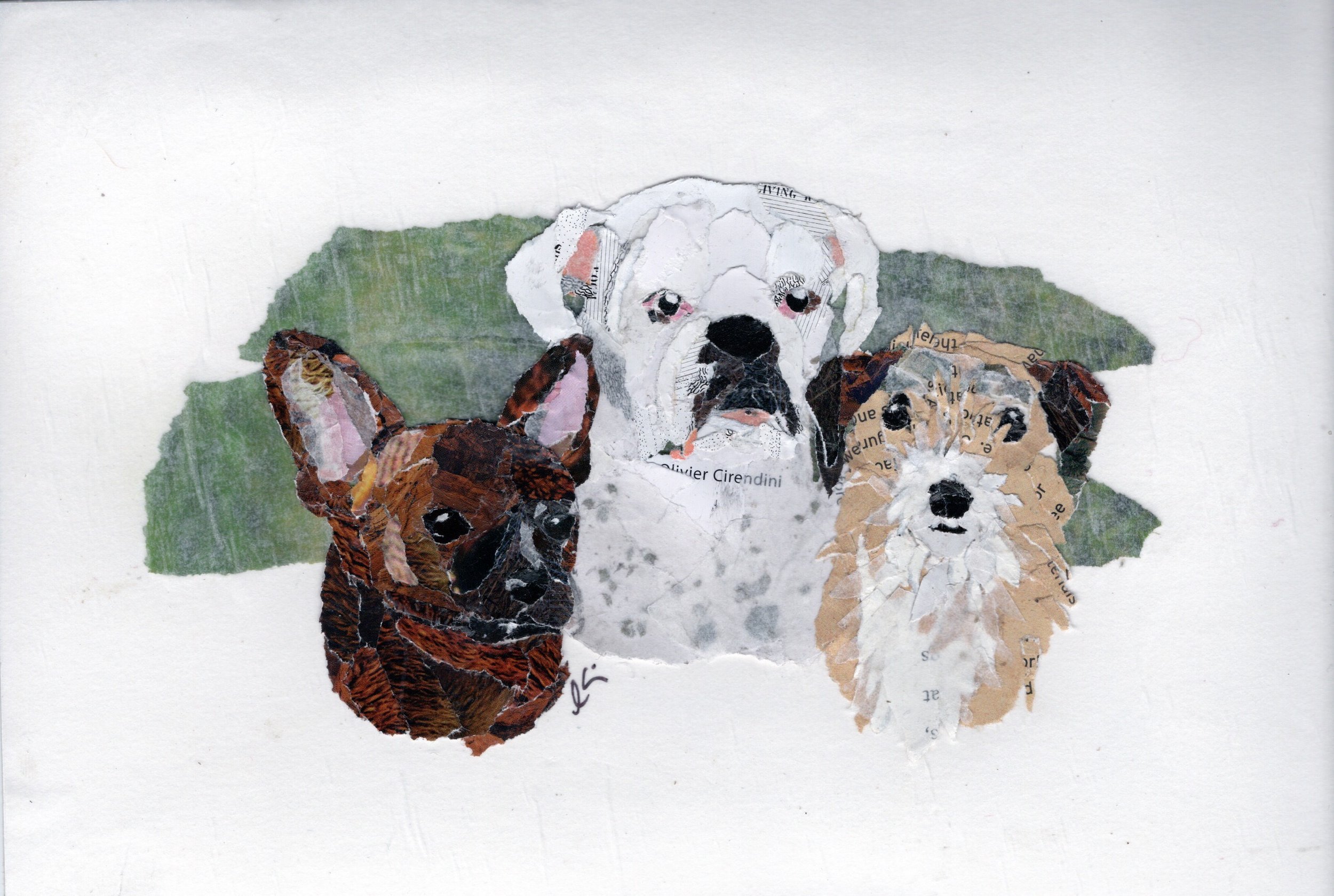 Zoe, Molly & Sprocket (7x5)
