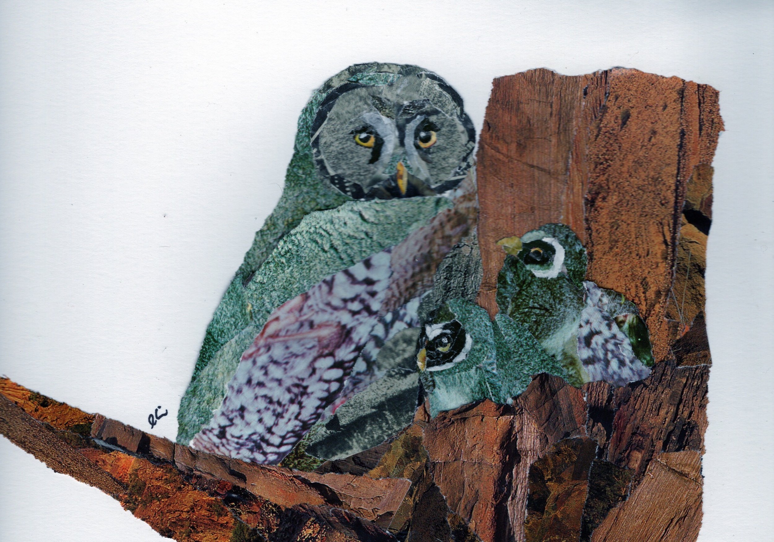 Great Grey Owl With Two Owlettes