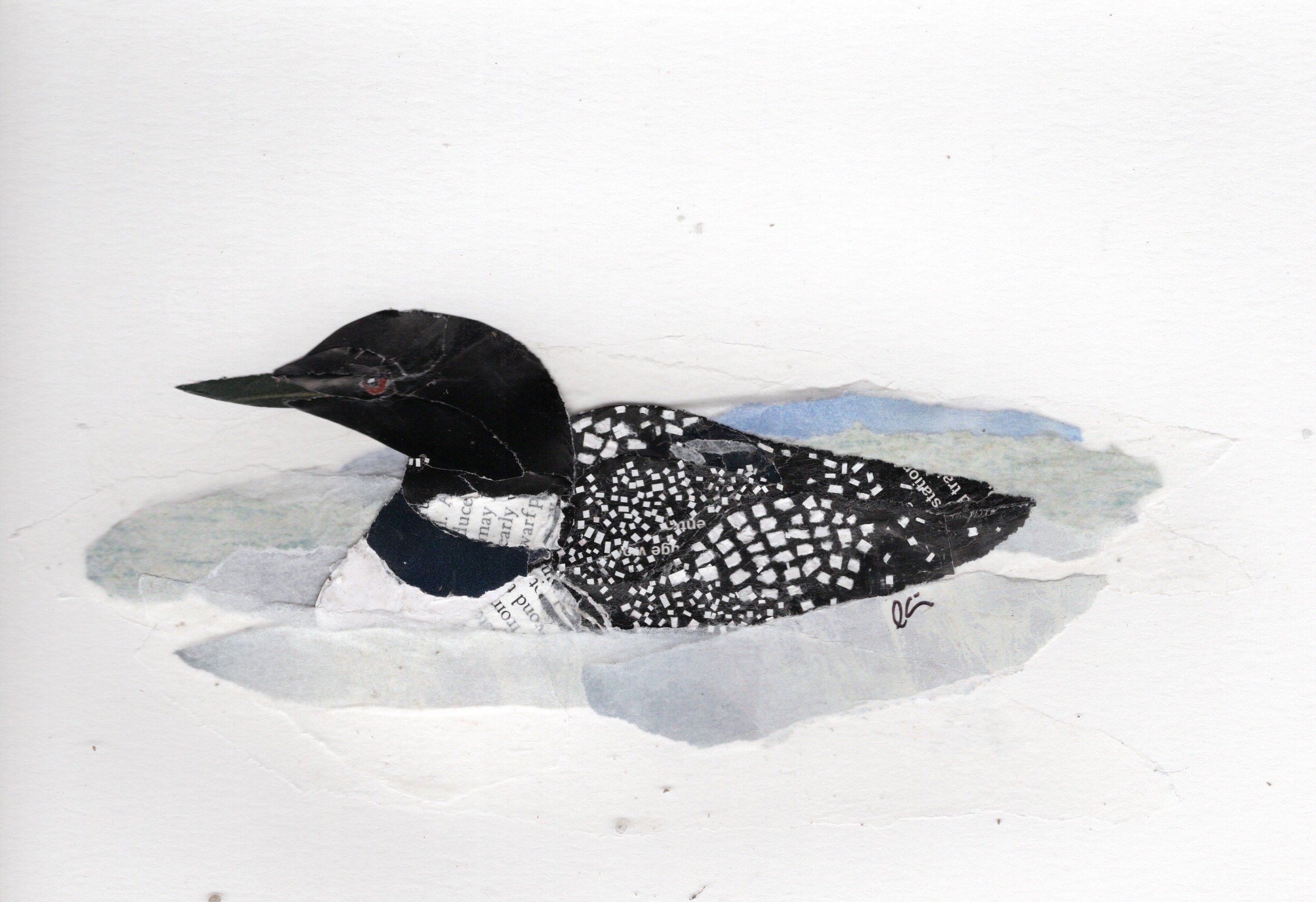 Common Loon in Some Water