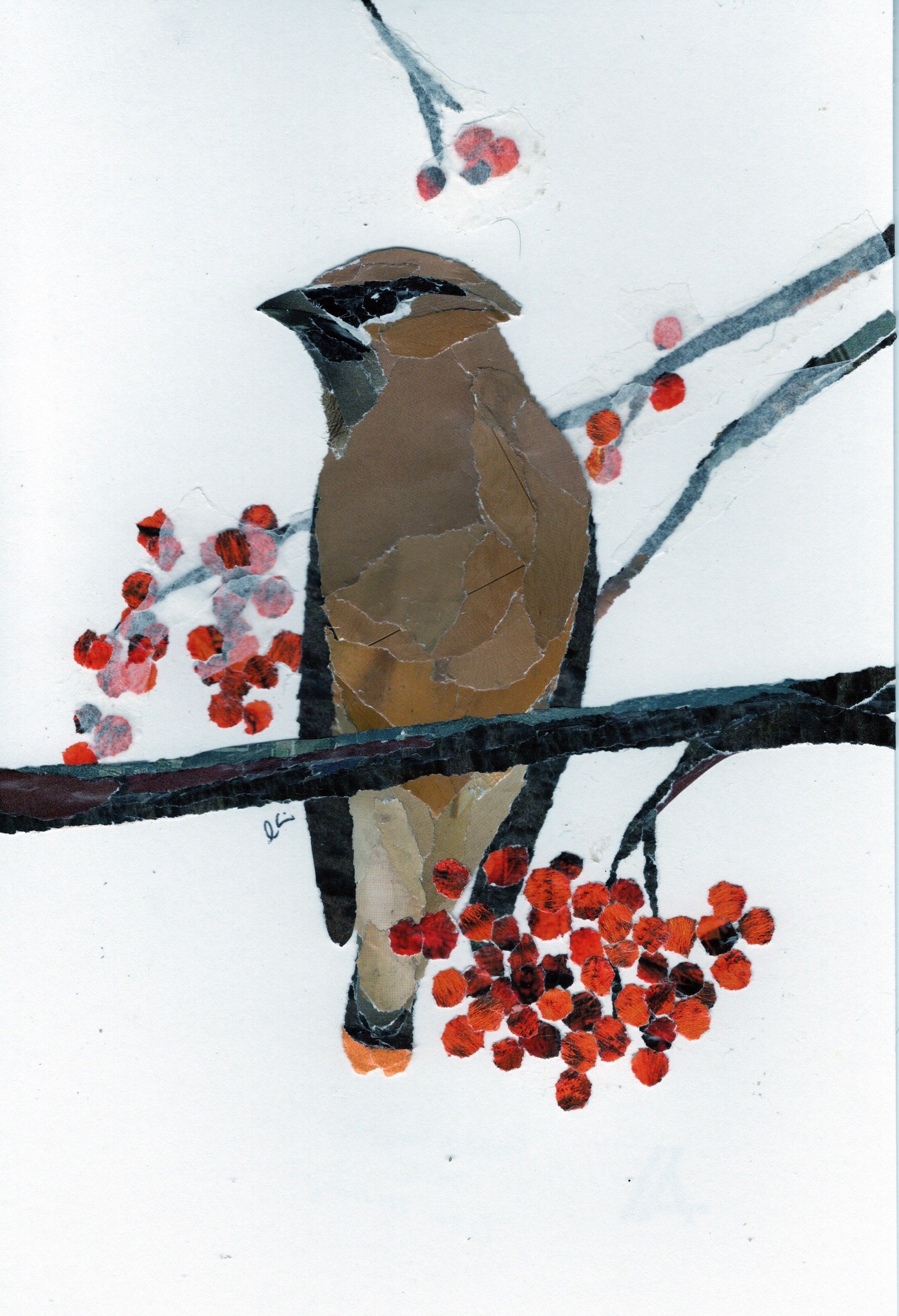 Waxwing #3 (5x7)