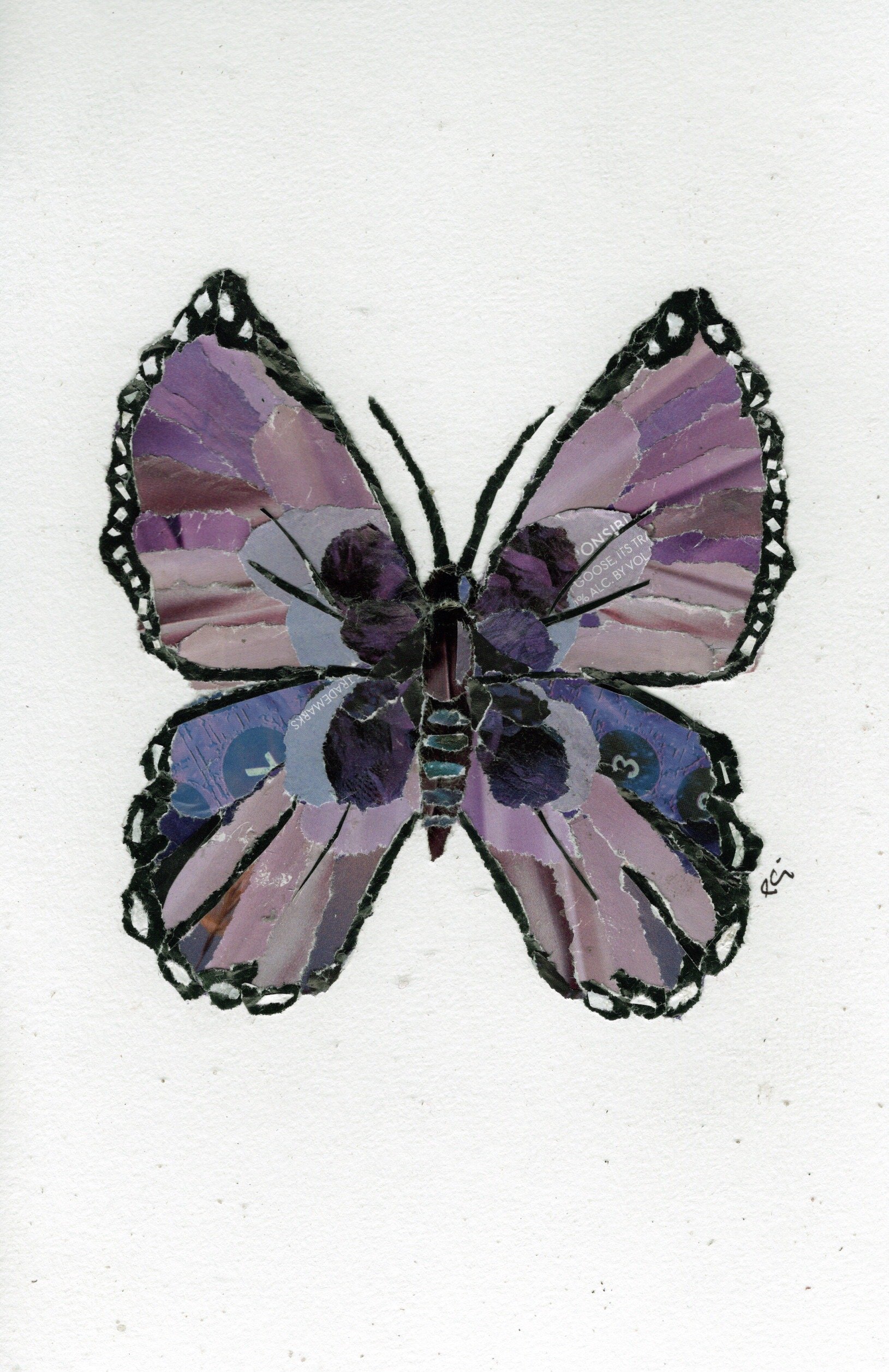 Purple Butterfly Honouring Lupus