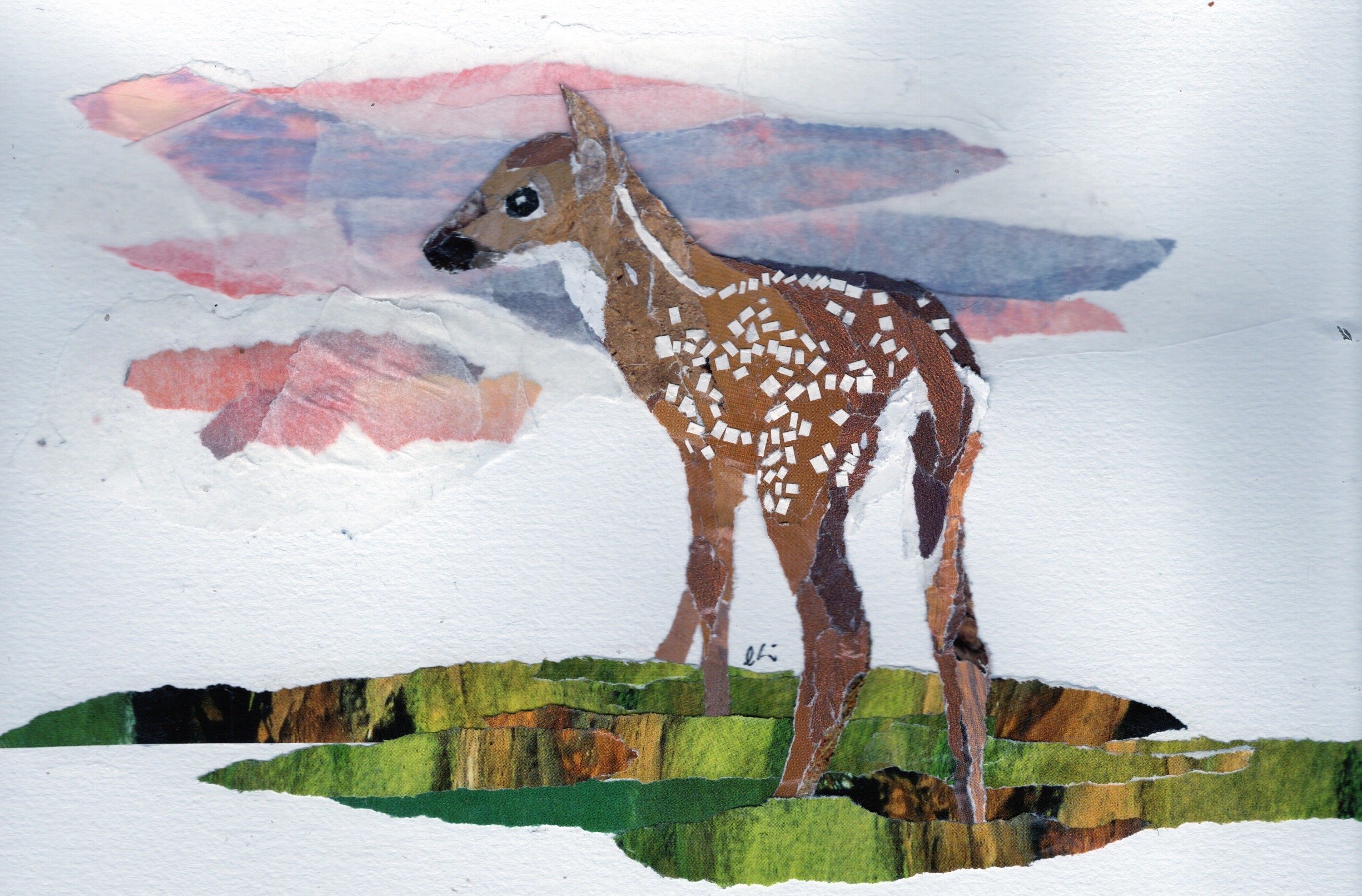 Fawn Standing in a Green Meadow