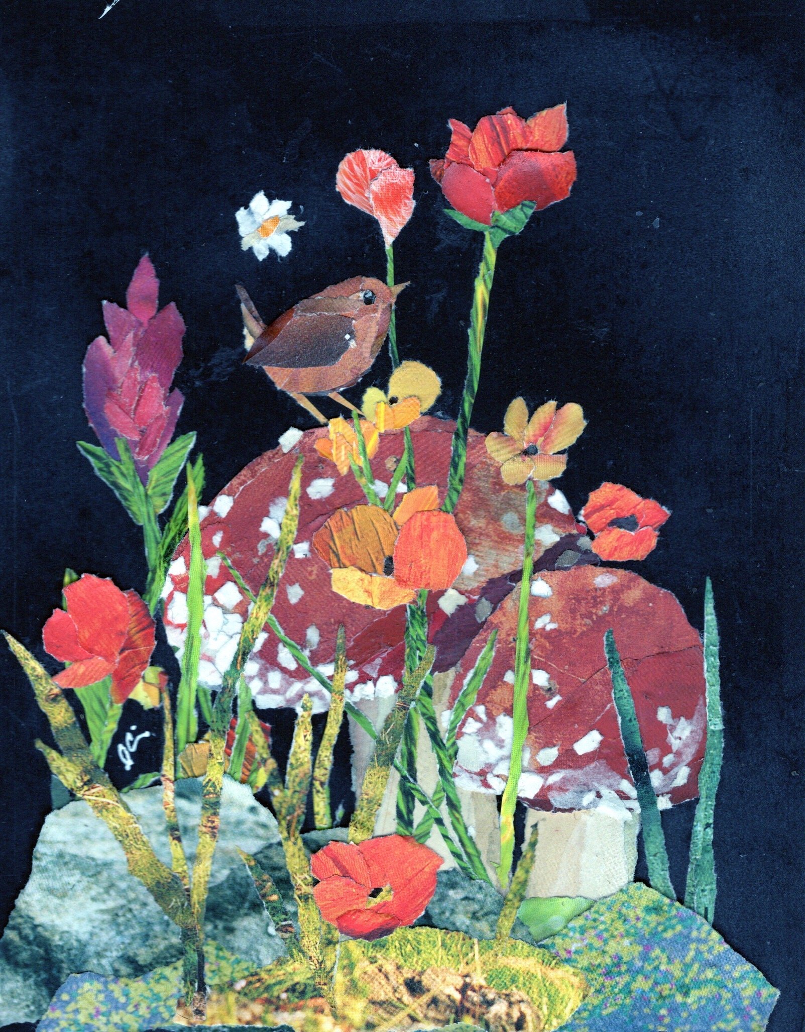 Wee Little Wren on a Red Capped Mushroom (Amonita Muscaria) with Wildflowers