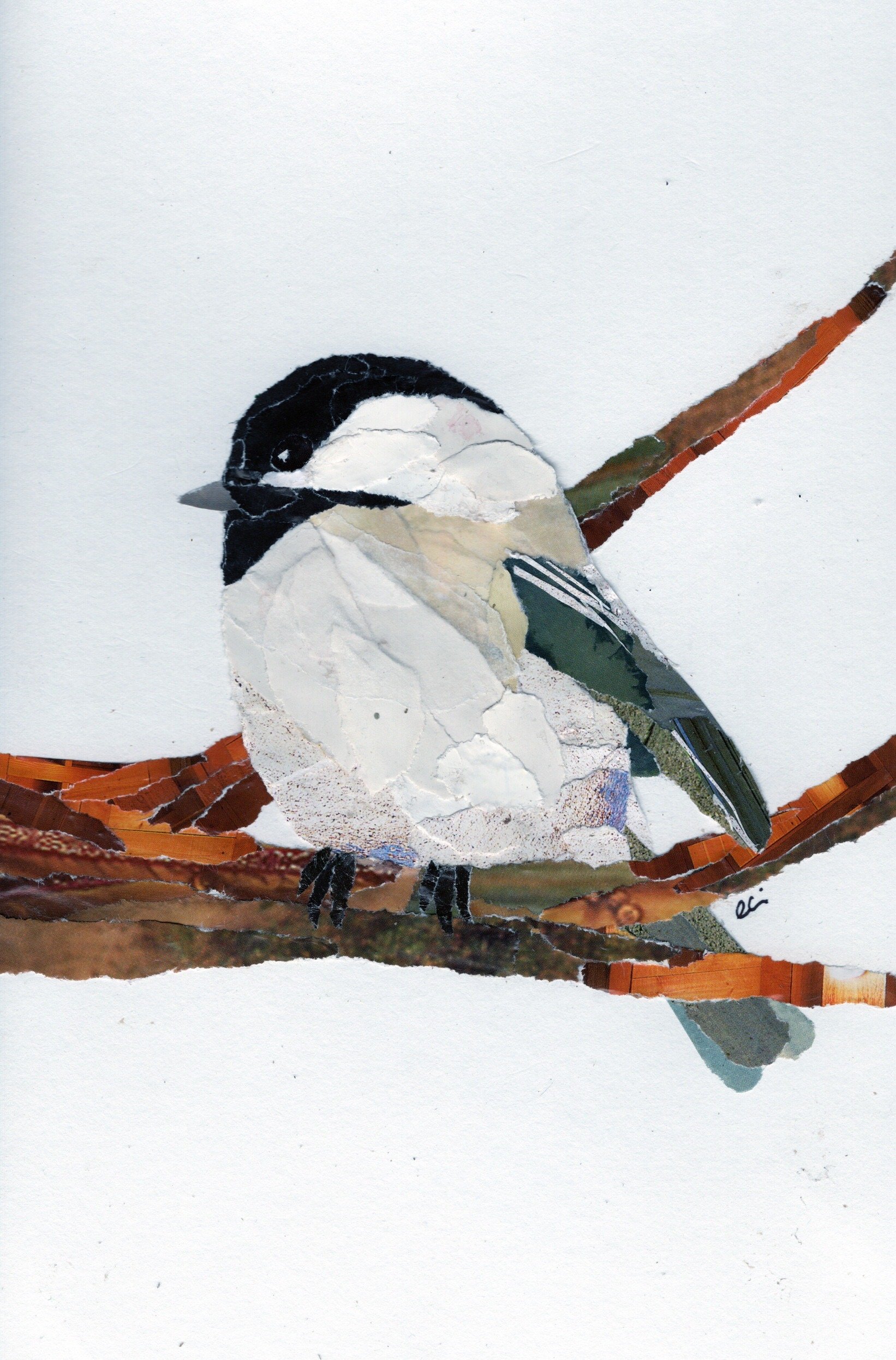Chubby Chickadee on a Branch