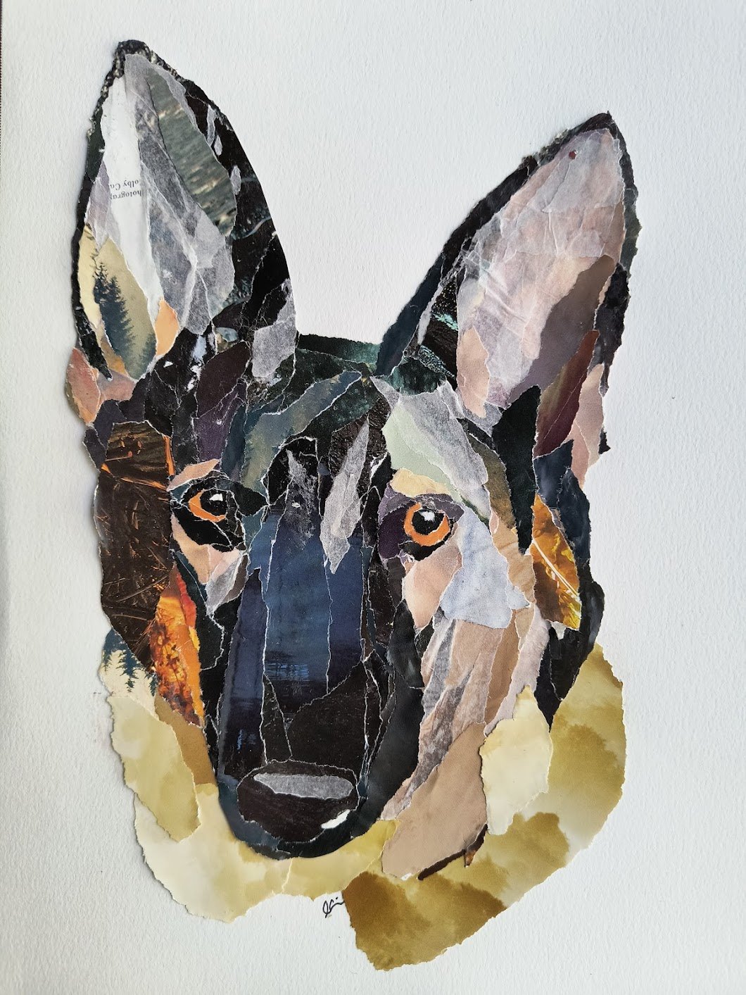 Bust of a Tan German Shepherd with a Black Face