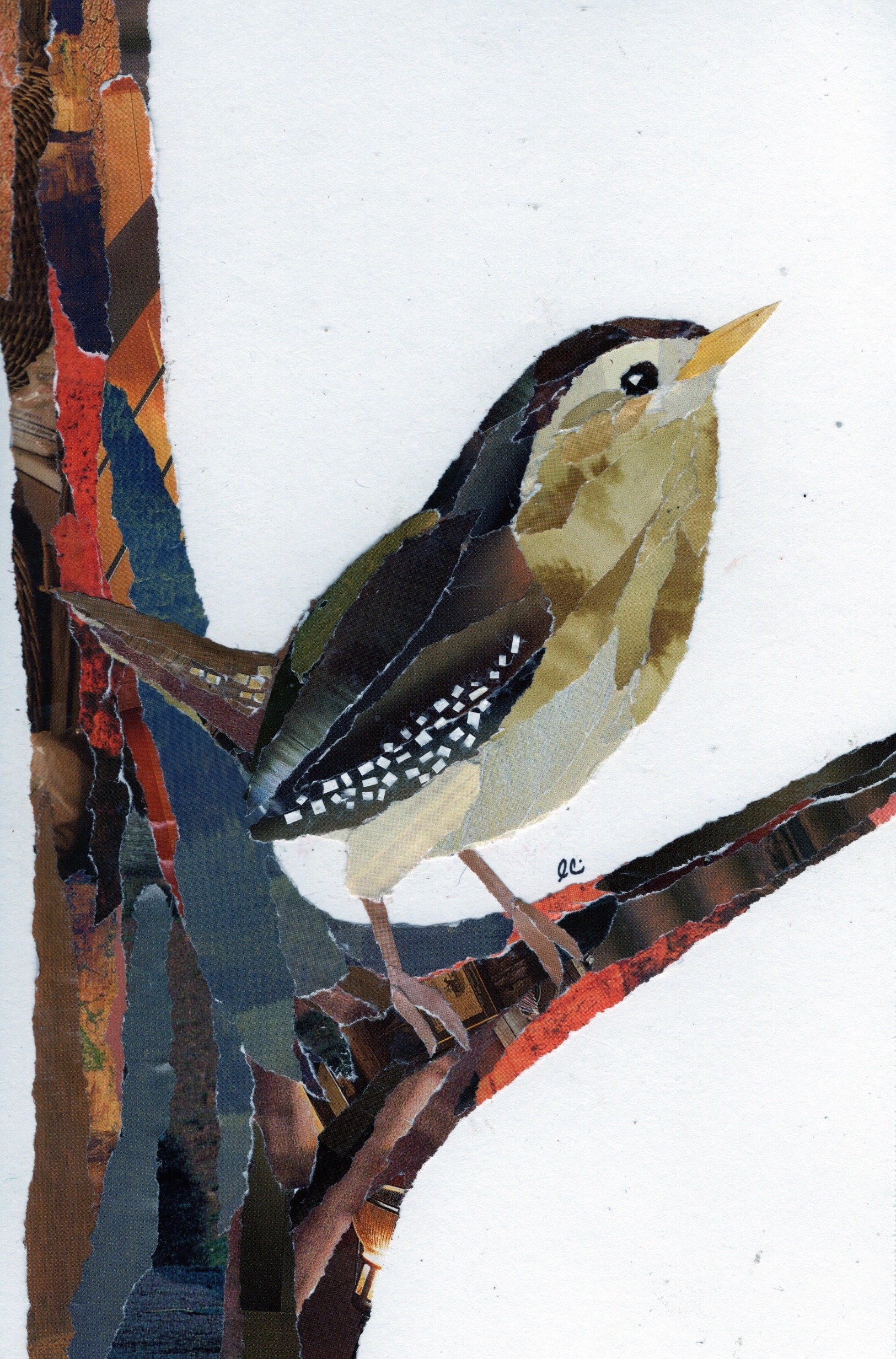 Eurasian Wren in a Tree