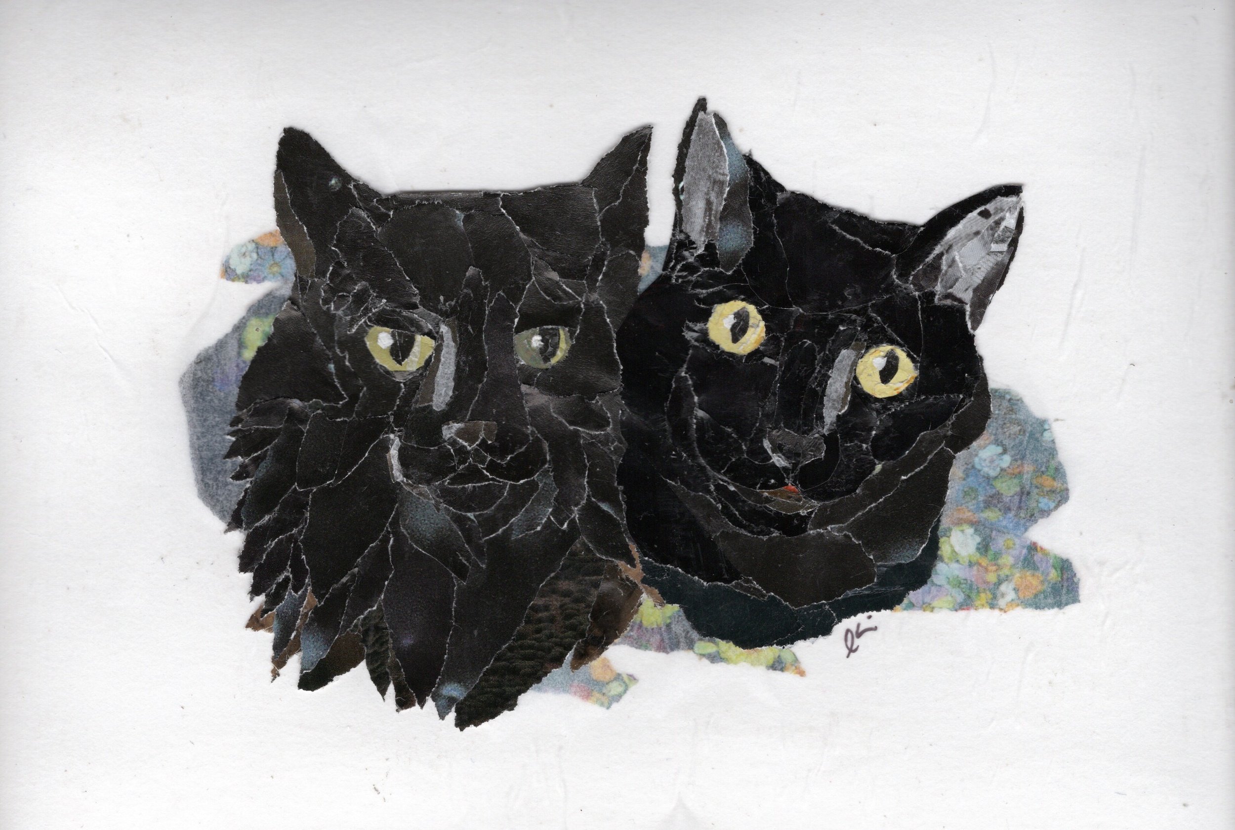 "Sammy & Meatball" 97x5)