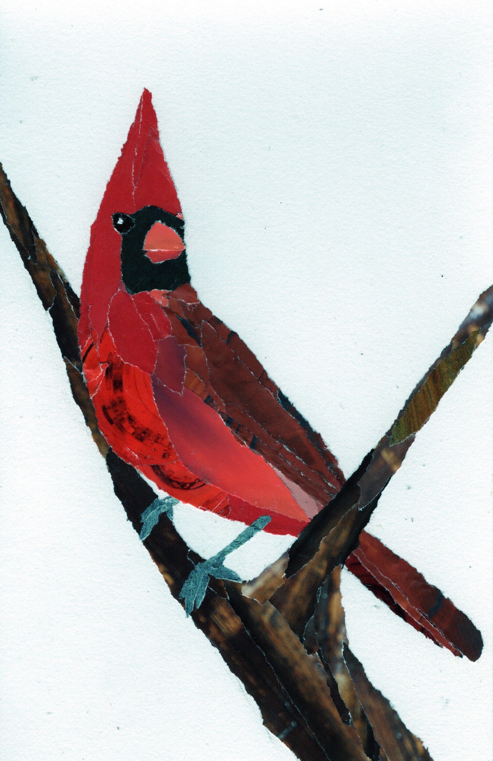 Cardinal Sitting Between Two Branches