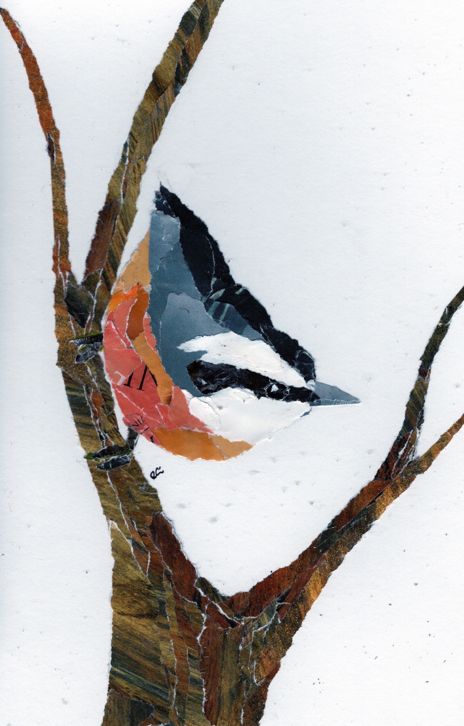Red Breasted Nuthatch in Some Branches