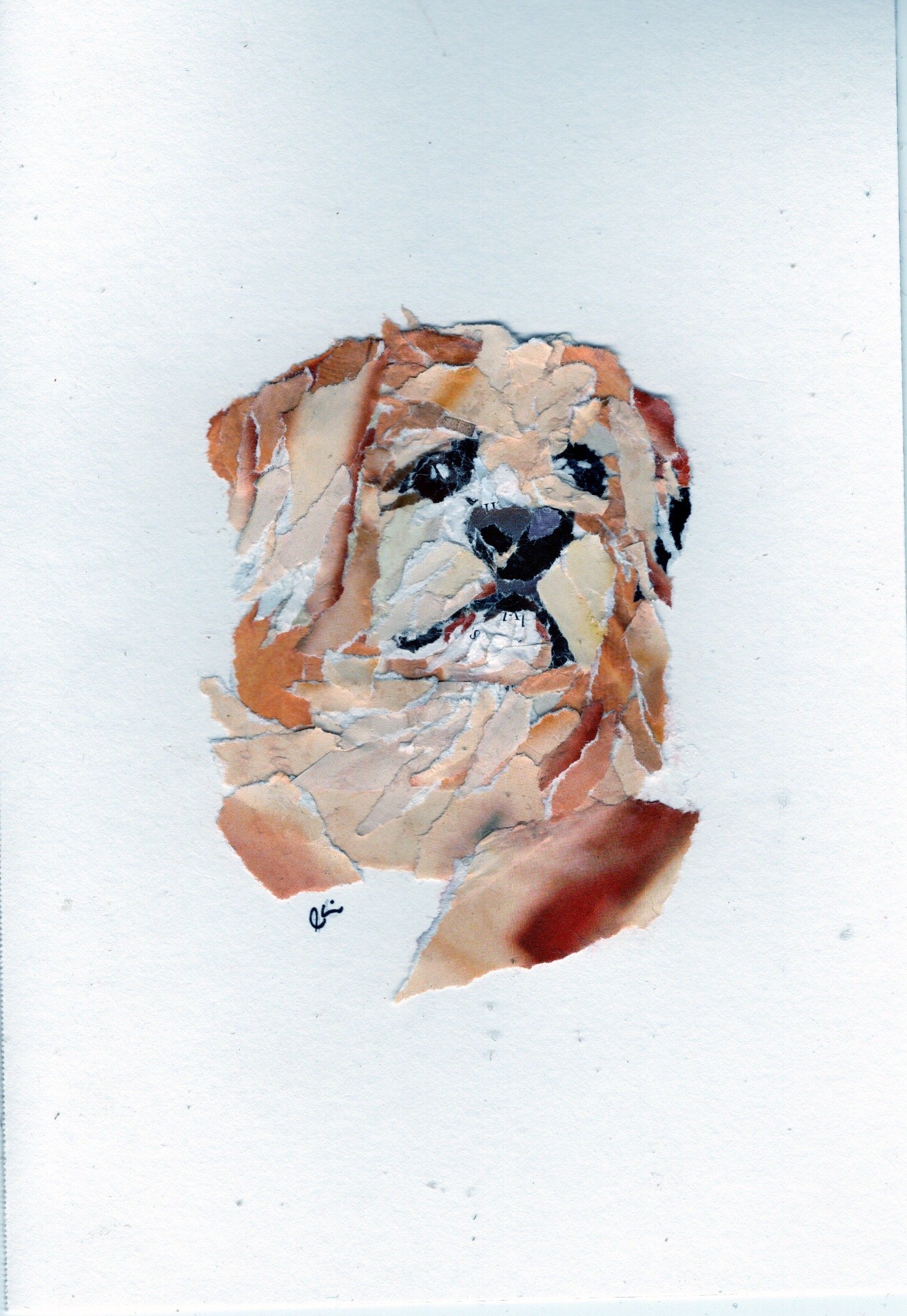 Brown Mixed Breed Terrier Bust