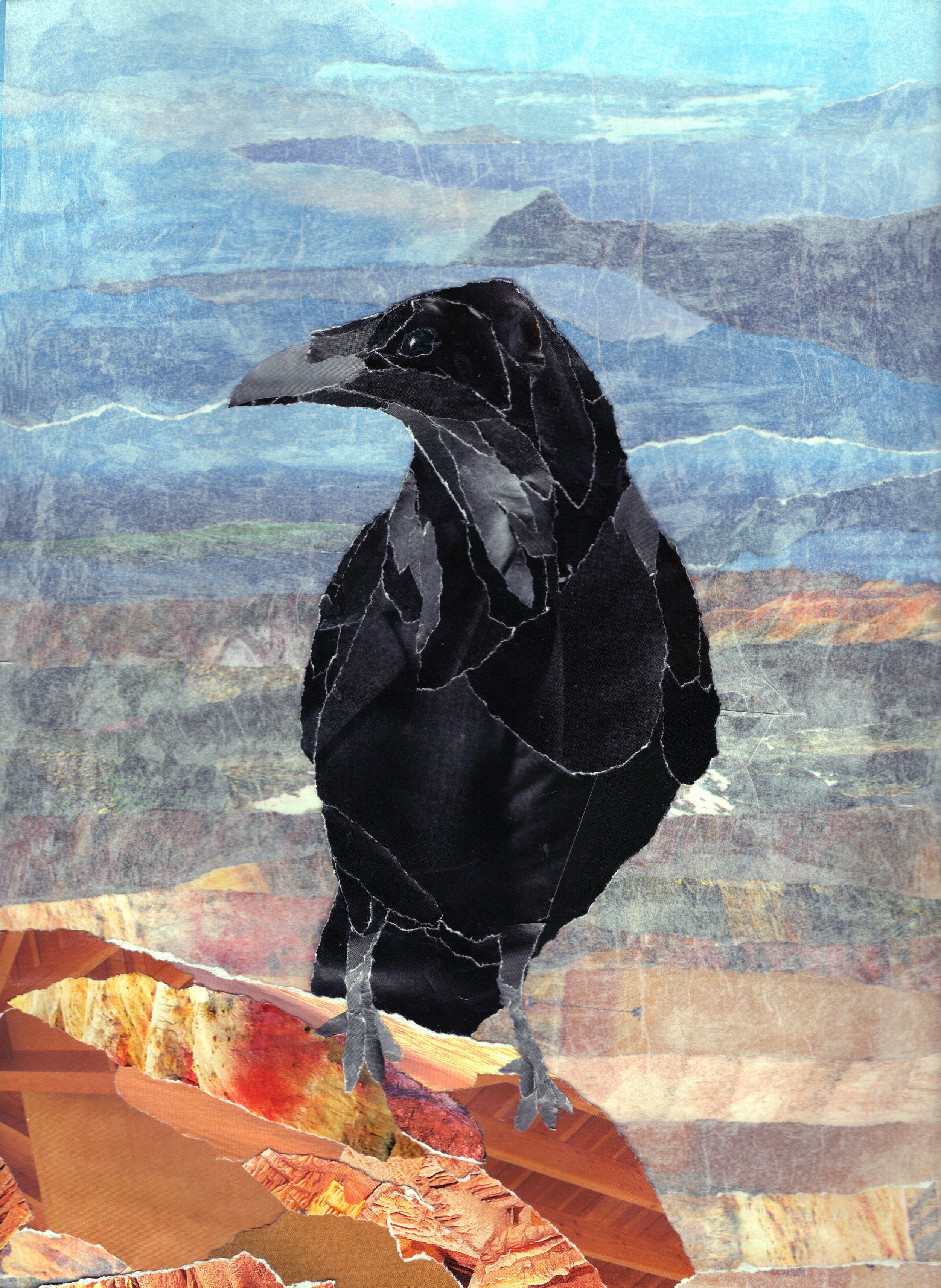 Raven Sitting on a Rock