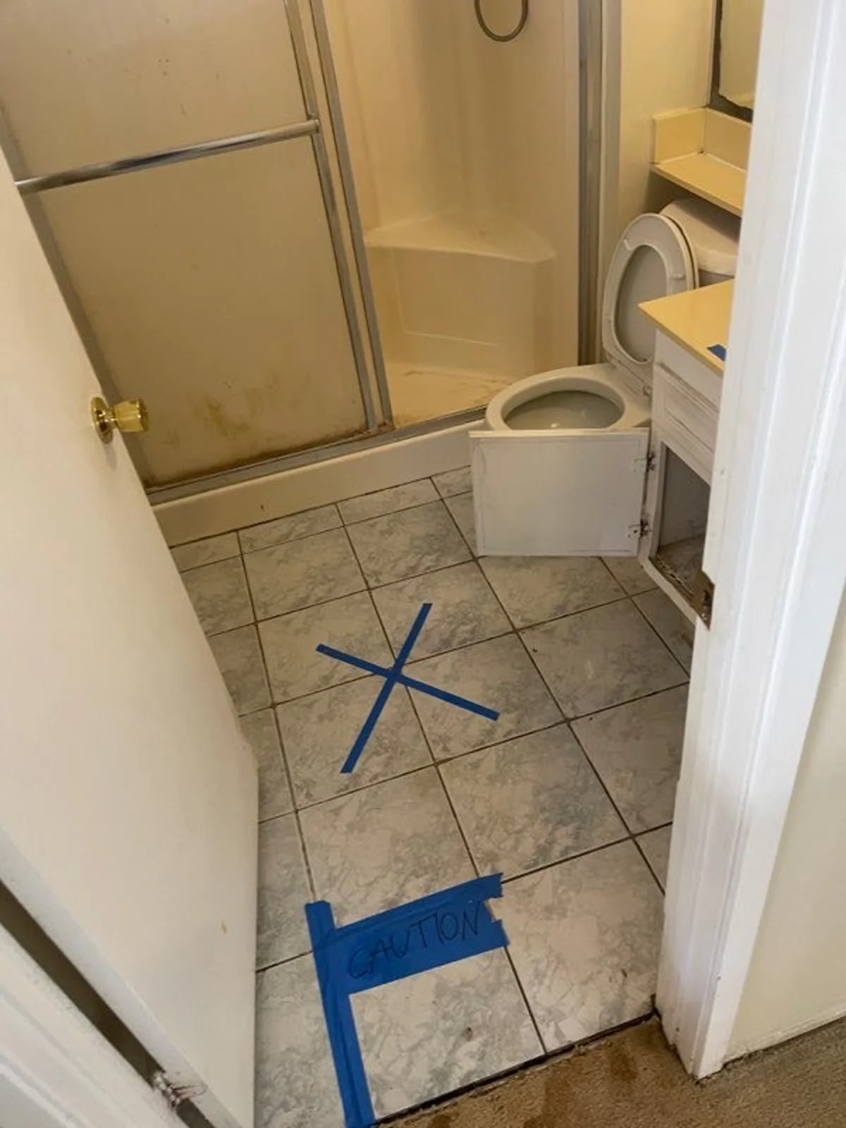 PreDemo Bathroom.jpg