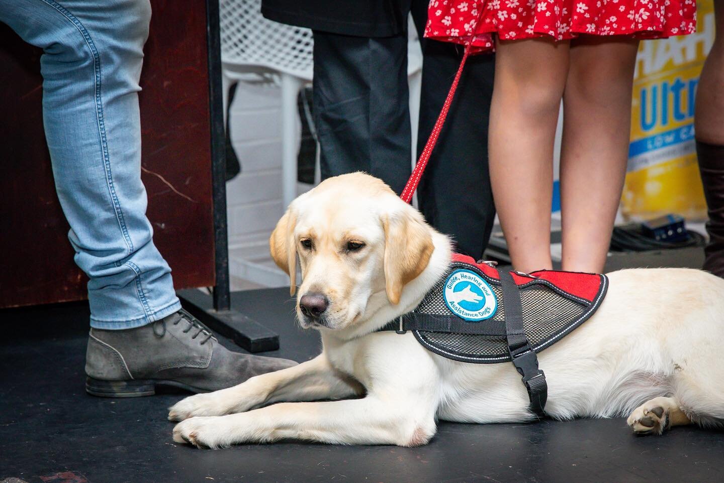 Brisbane&rsquo;s iconic The Paddo again hosted the Annual Smart Pups Assistance Dogs Corporate Charity Lunch Event 2023. With Aussie Greats such as Jon Stevens, Danny Green and Dawn Fraser all doing their part, this year&rsquo;s event was yet another