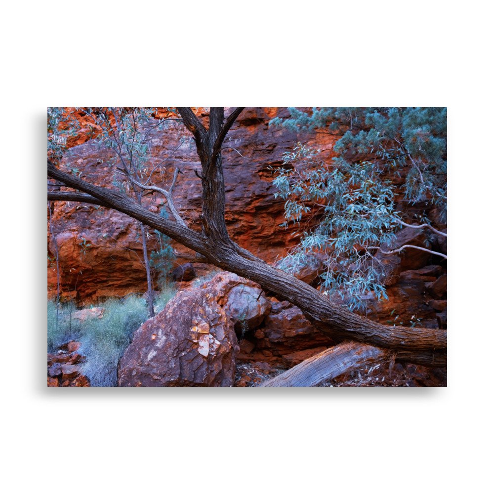 enhanced-matte-paper-poster-(cm)-70x100-cm-front-6789fbea78913.jpg