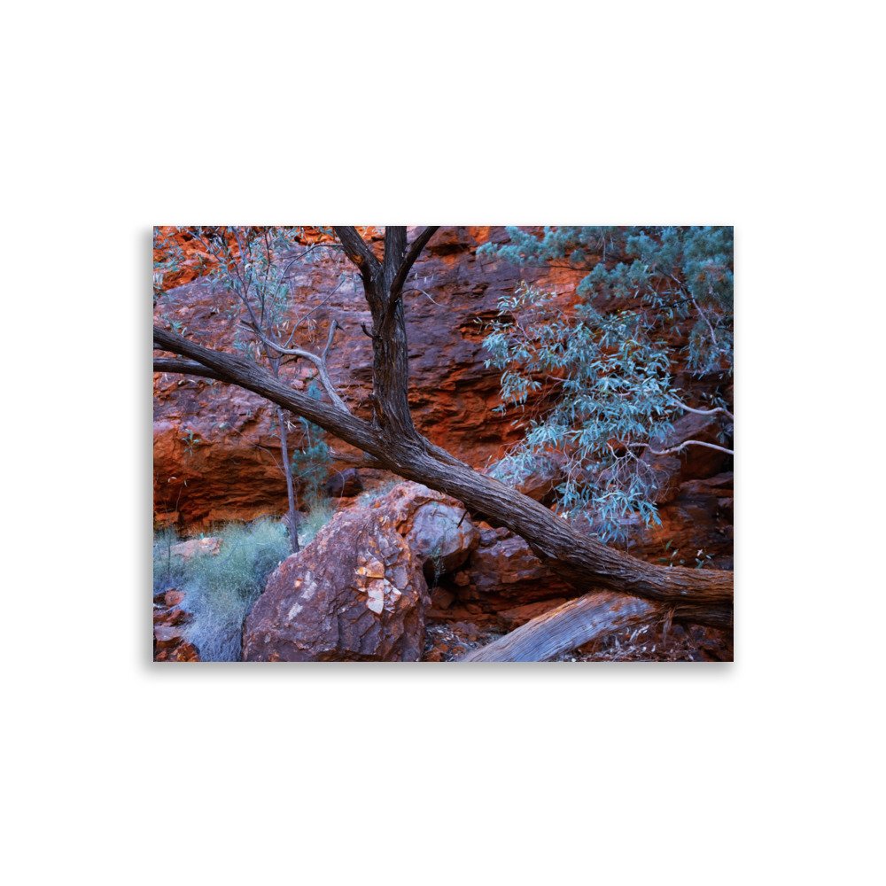 enhanced-matte-paper-poster-(cm)-30x40-cm-front-6789fbea7928a.jpg