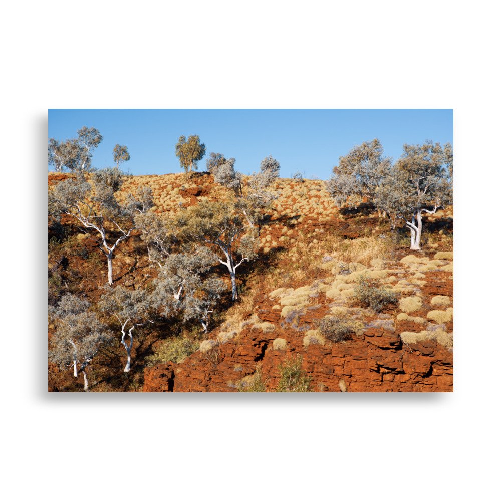 enhanced-matte-paper-poster-(cm)-70x100-cm-front-6789fcb275846.jpg