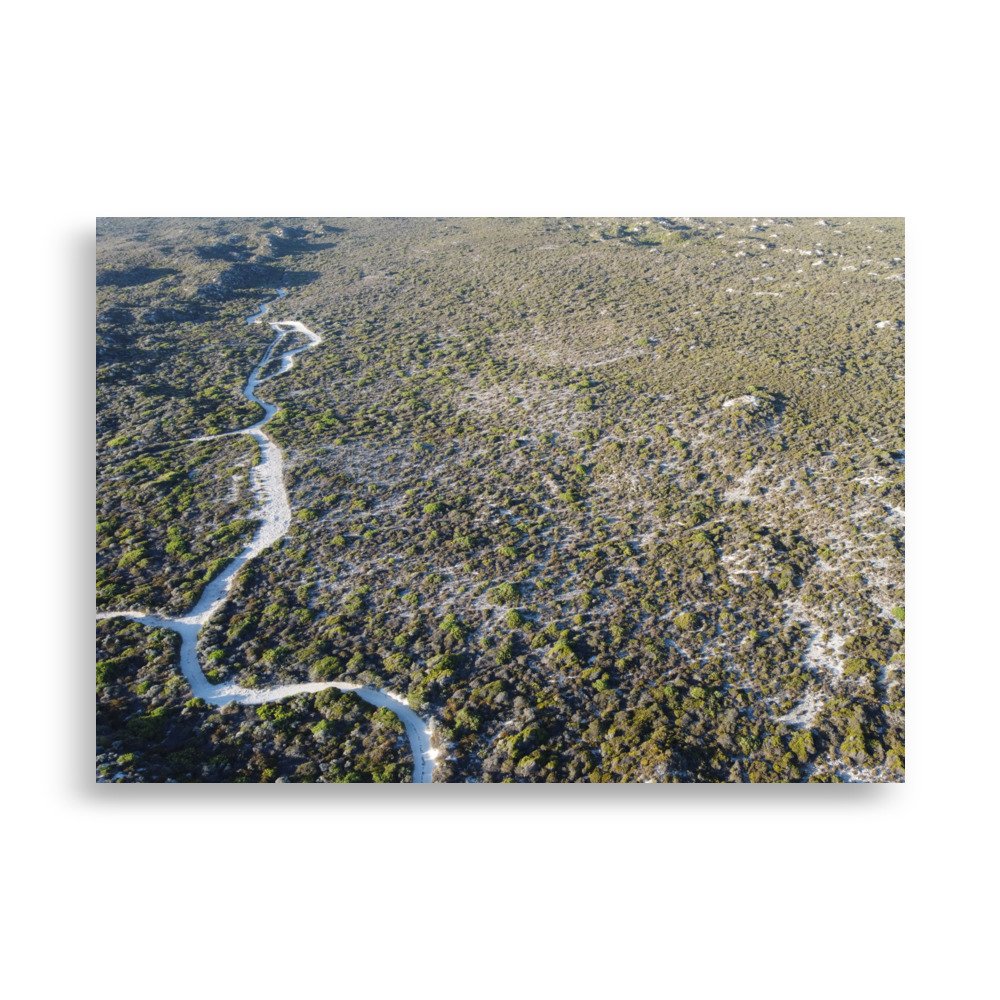 enhanced-matte-paper-poster-(cm)-70x100-cm-front-678a00a3122c9.jpg