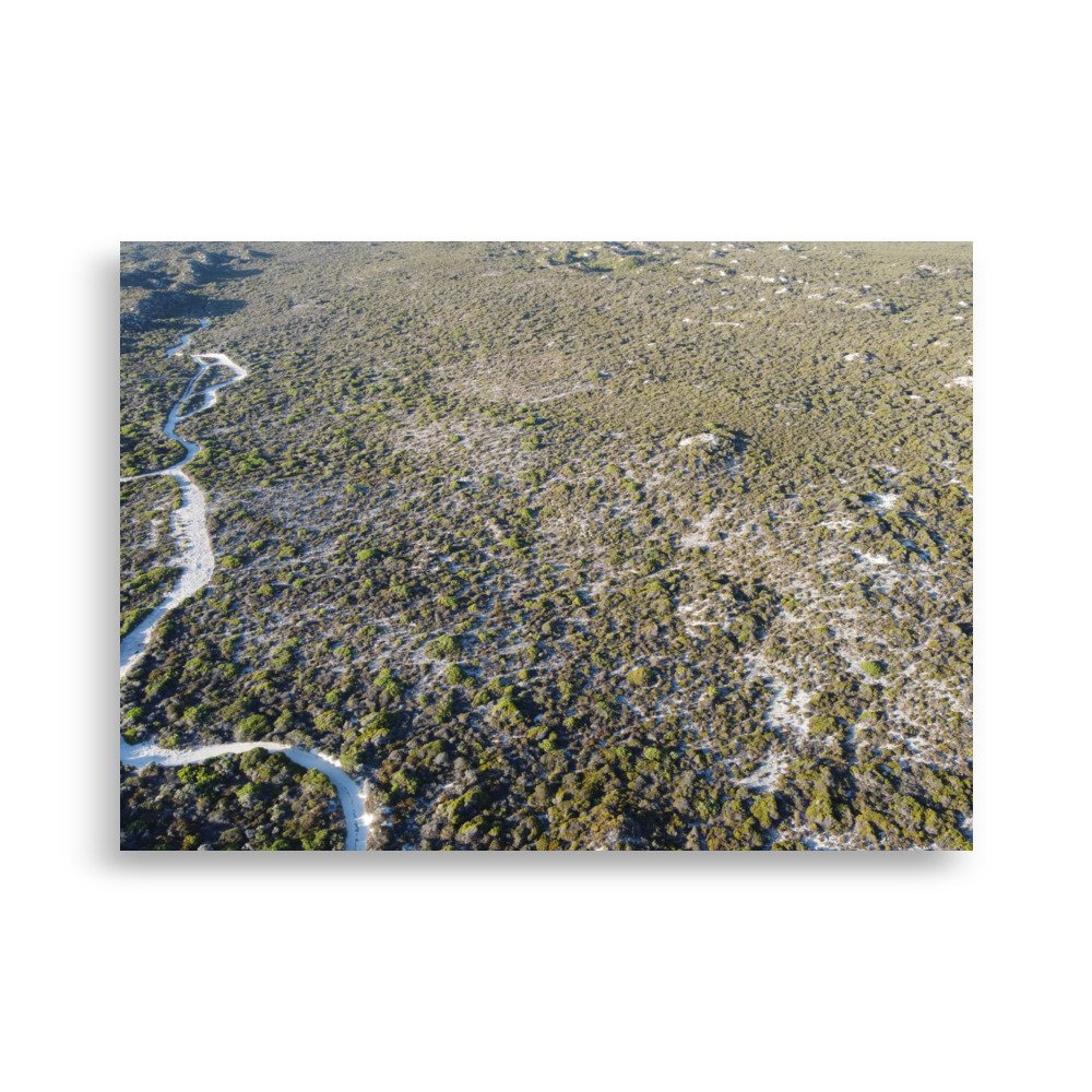 enhanced-matte-paper-poster-(cm)-50x70-cm-front-678a00a312f8a.jpg