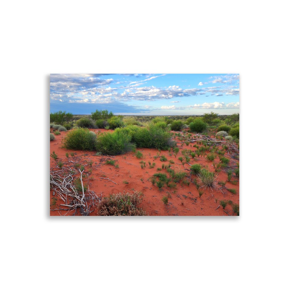enhanced-matte-paper-poster-(cm)-30x40-cm-front-678a07119024a.jpg