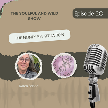 The Honey Bee Situation