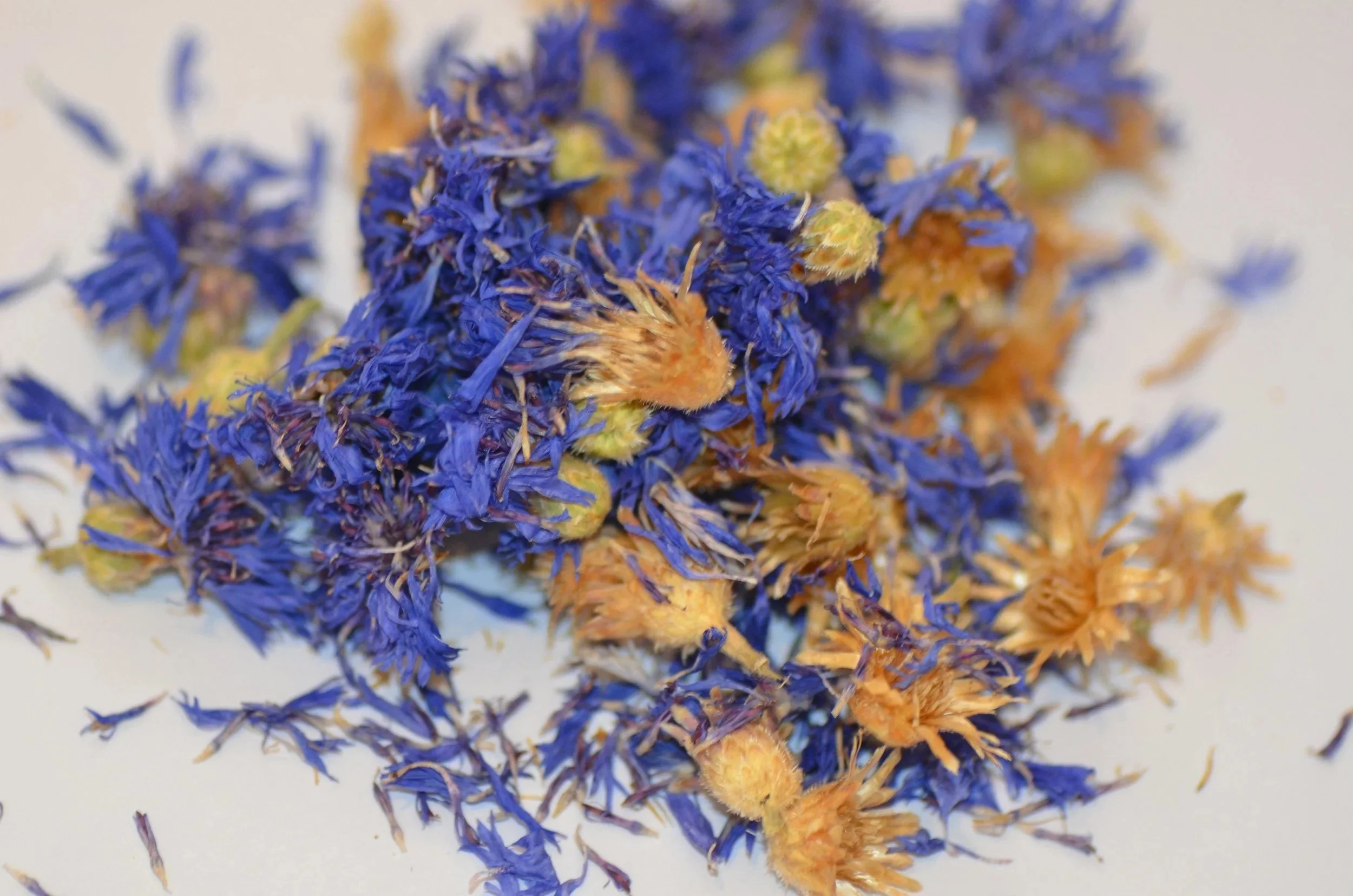Colourful dried flowers to represent the harvest of late summer