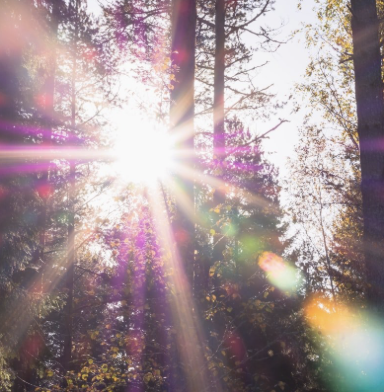 Self-Hypnosis Audio - Relax & Shine