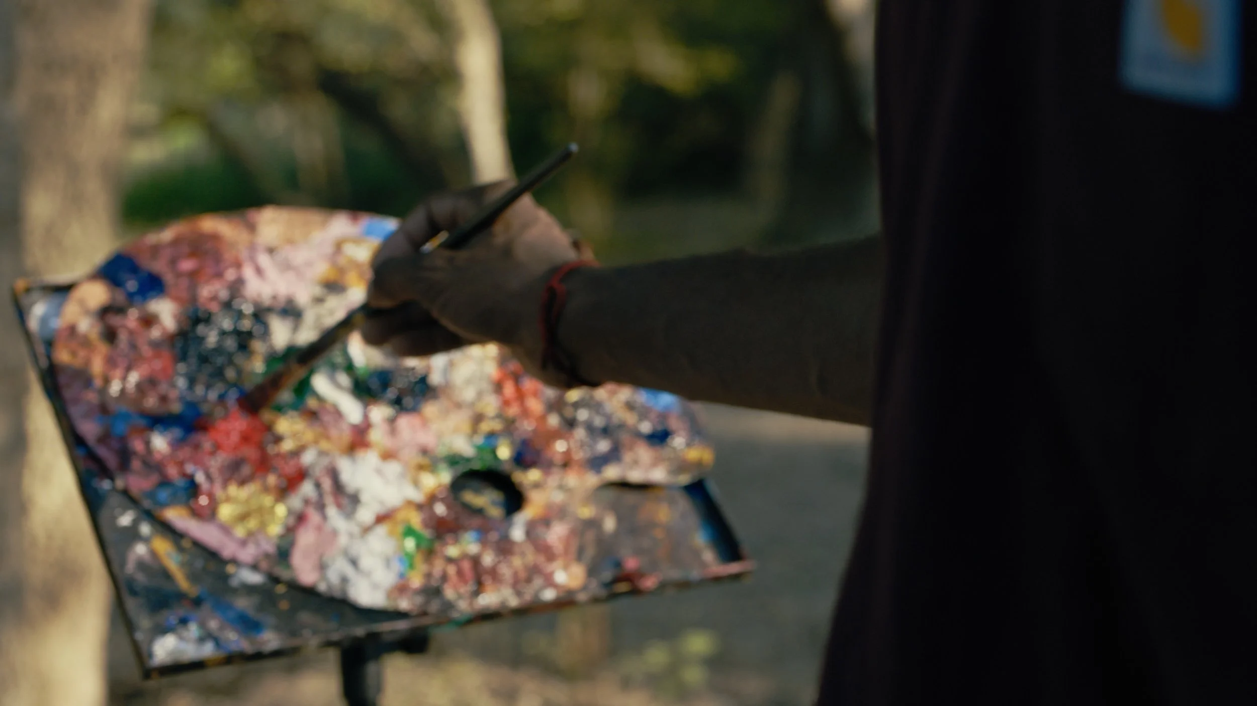 compressedImage (3).jpeg