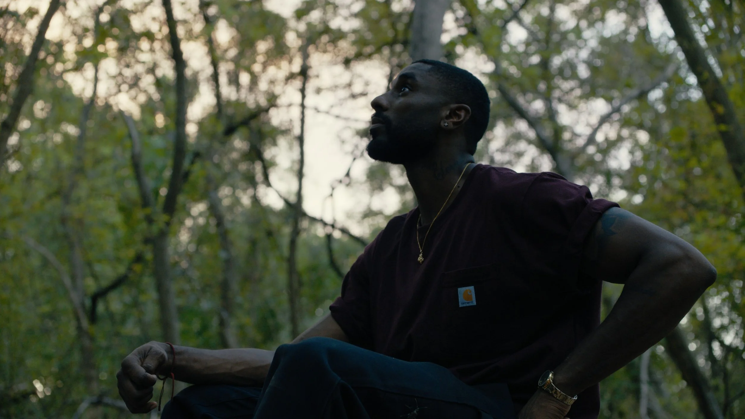 compressedImage (10).jpeg