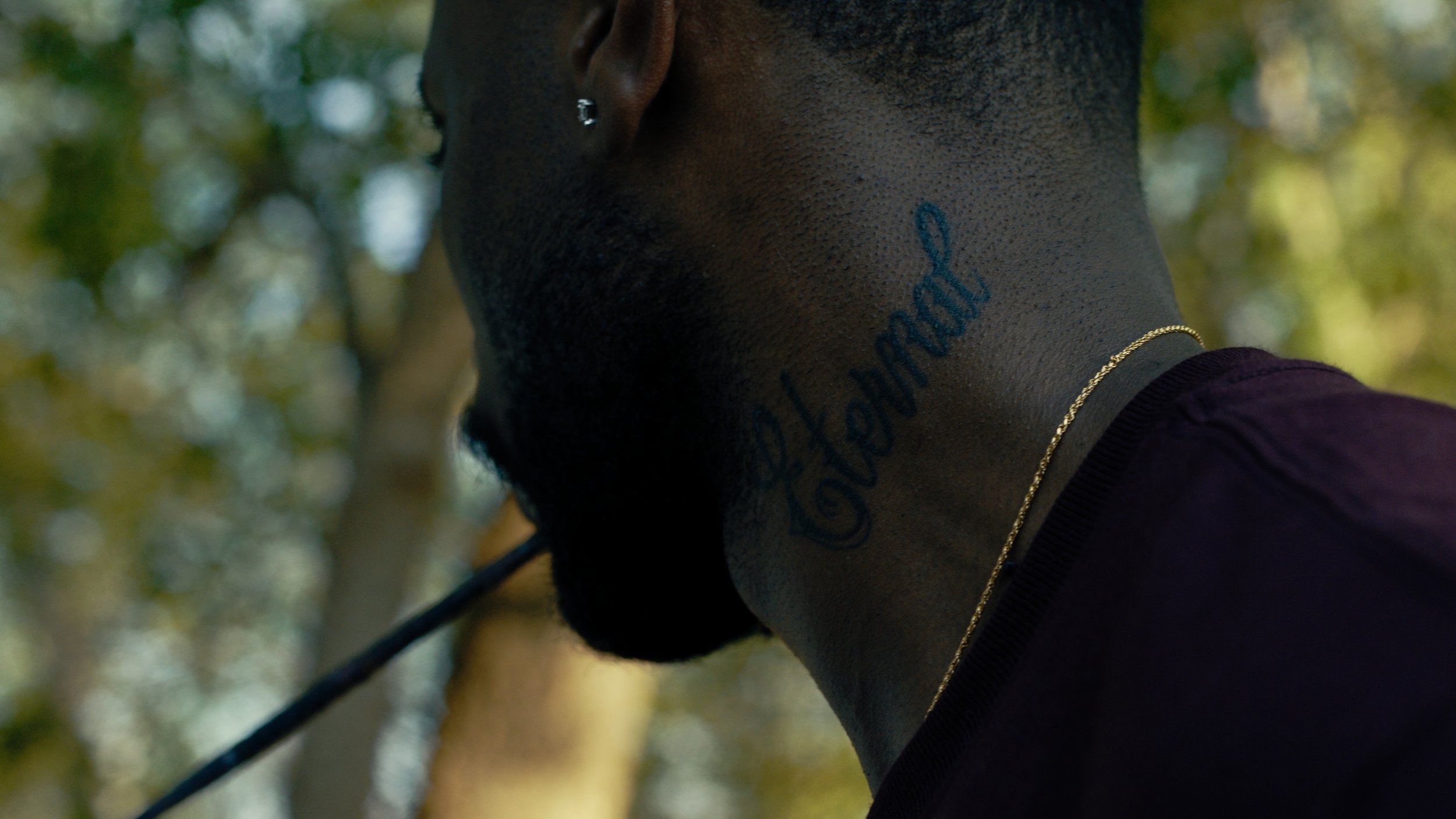 compressedImage (2).jpeg