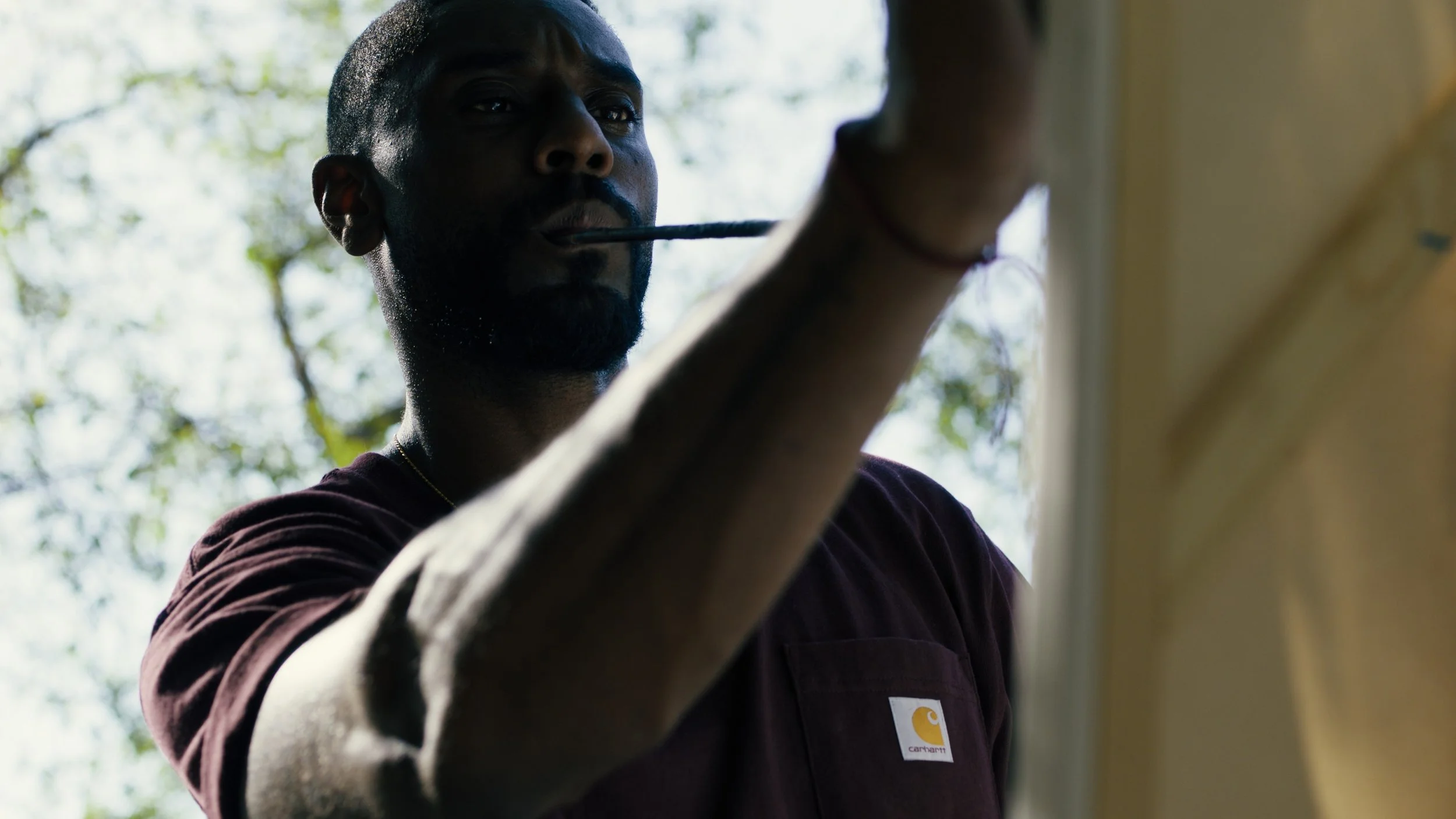 compressedImage (5).jpeg