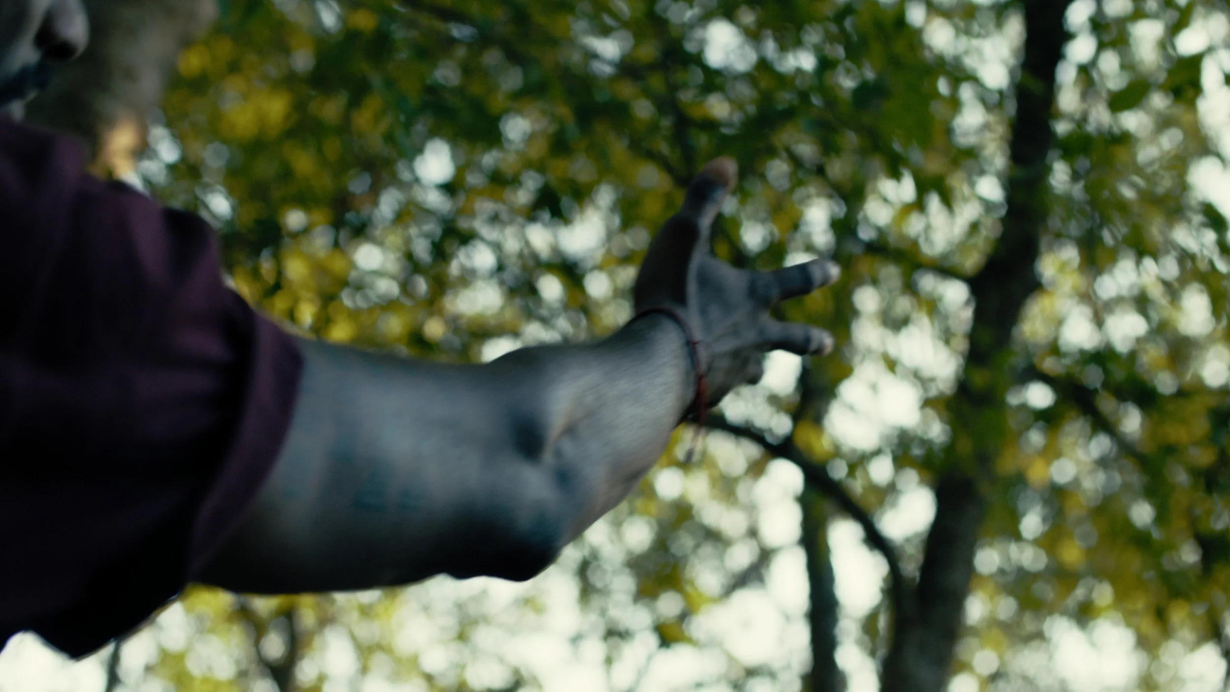 compressedImage (6).jpeg