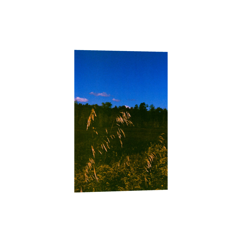 ptq_1_3_2_0_2000_3000_0_false_ffffff_0_0_.png