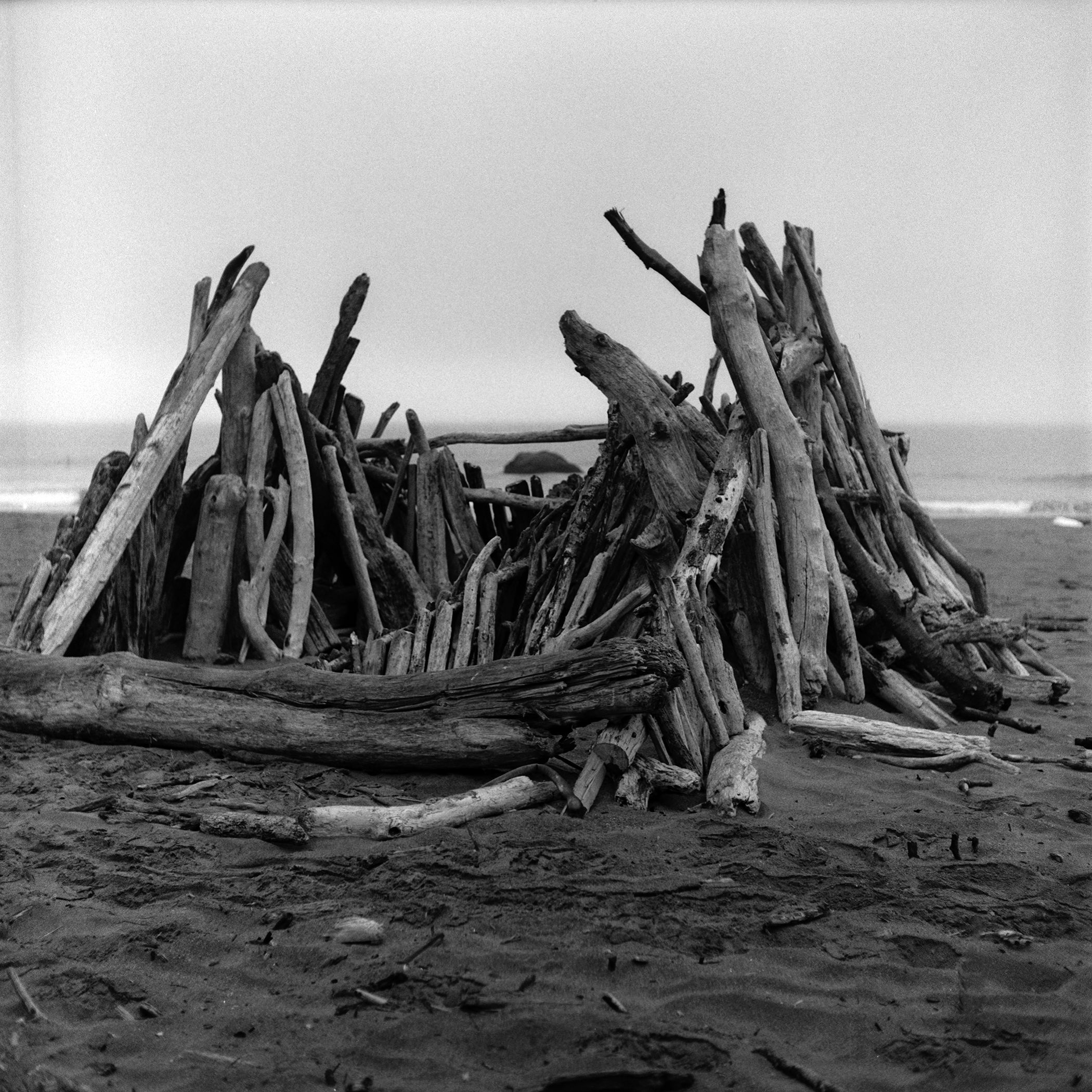 Sena Clara Creston
Santa Rosa, CA

Sena Clara Creston is an interactive installation artist exploring light, movement, and material to reflect on environmental relationships. She currently teaches media arts at Sonoma State University.

Fortitude doc