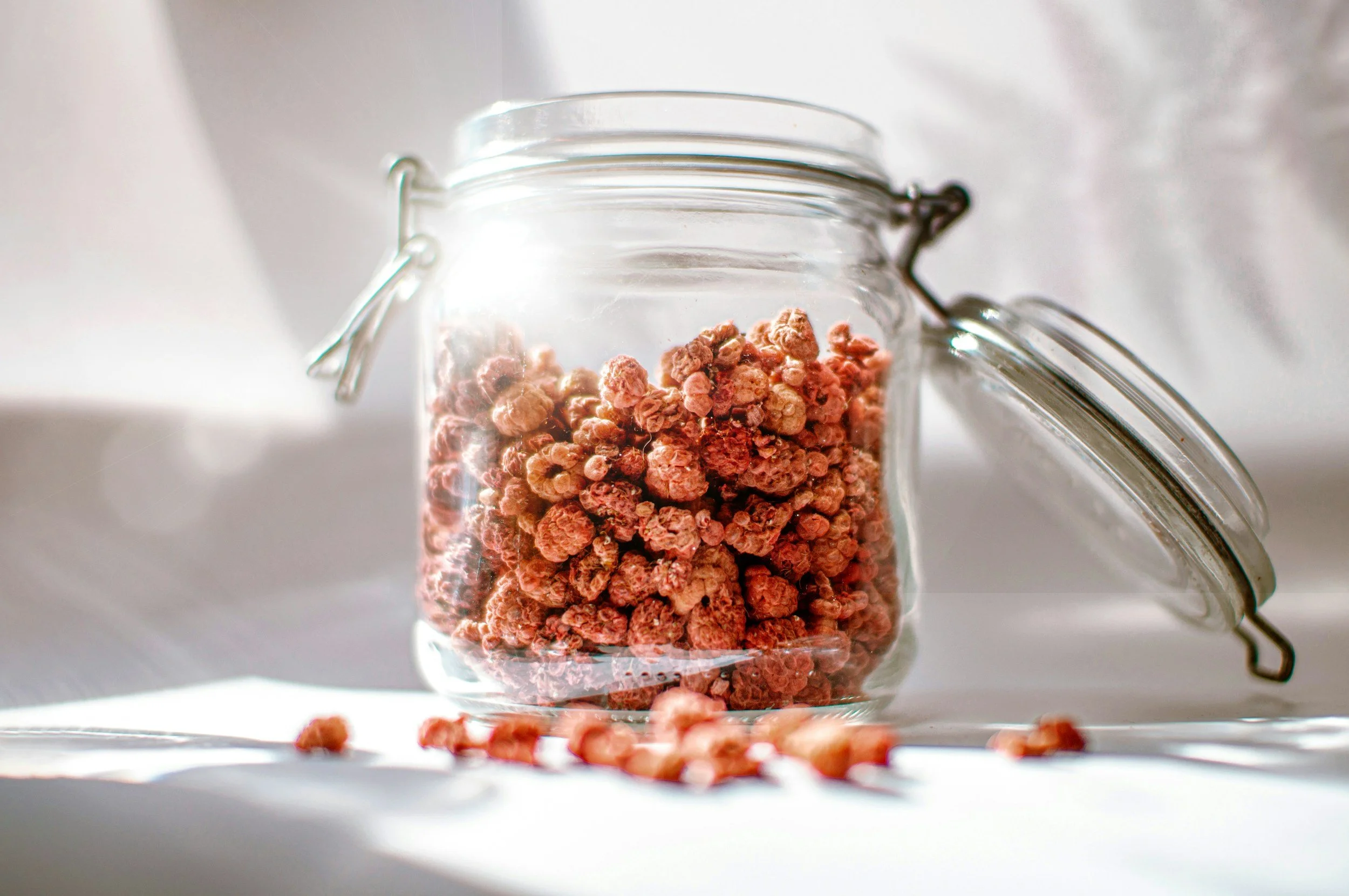 FREEZE DRIED INGREDIENTS