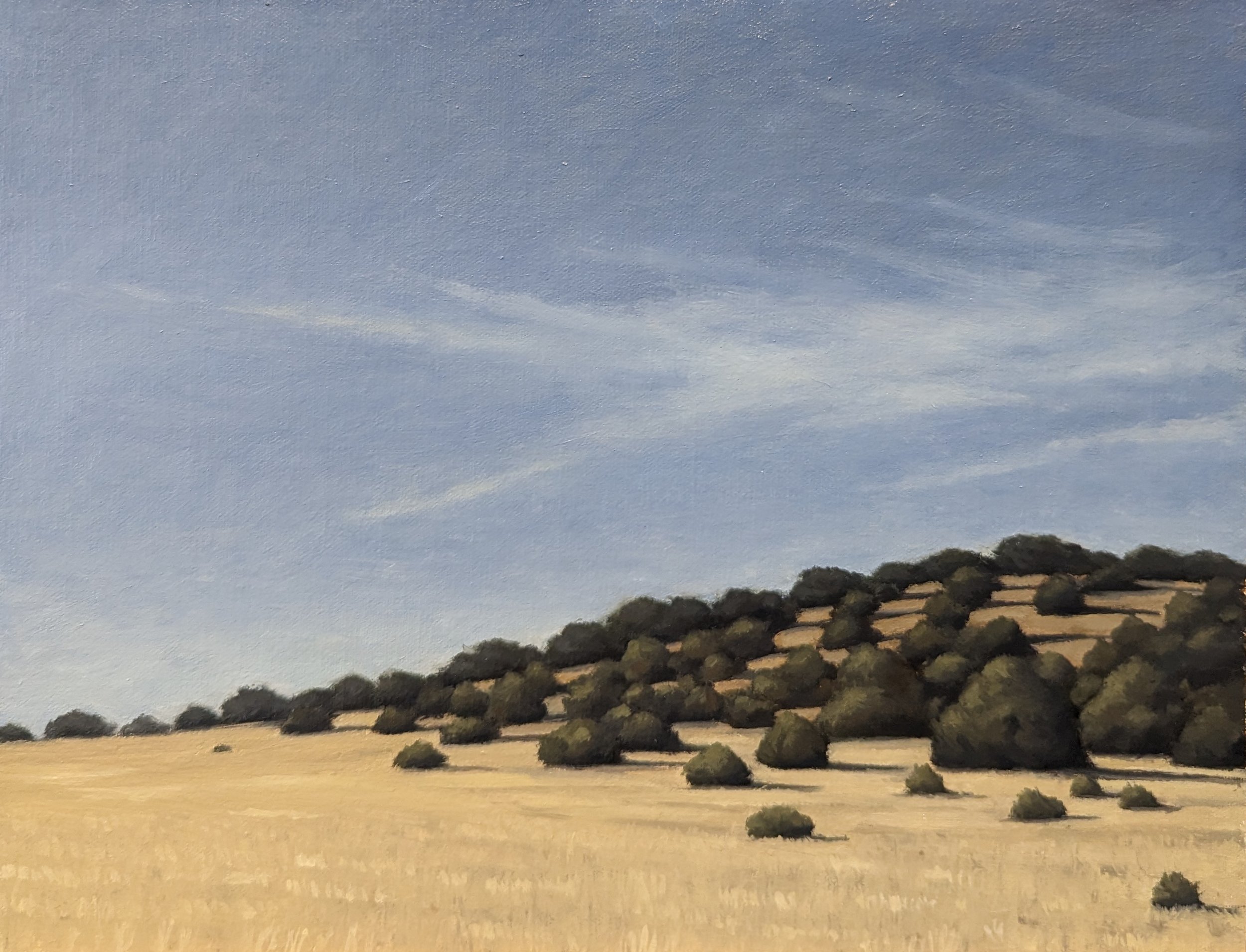 Galisteo Basin X