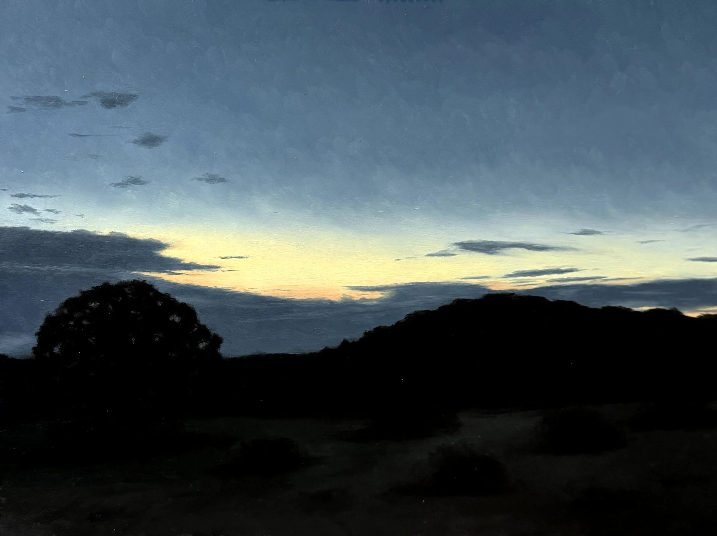 Silhouetted Desert I