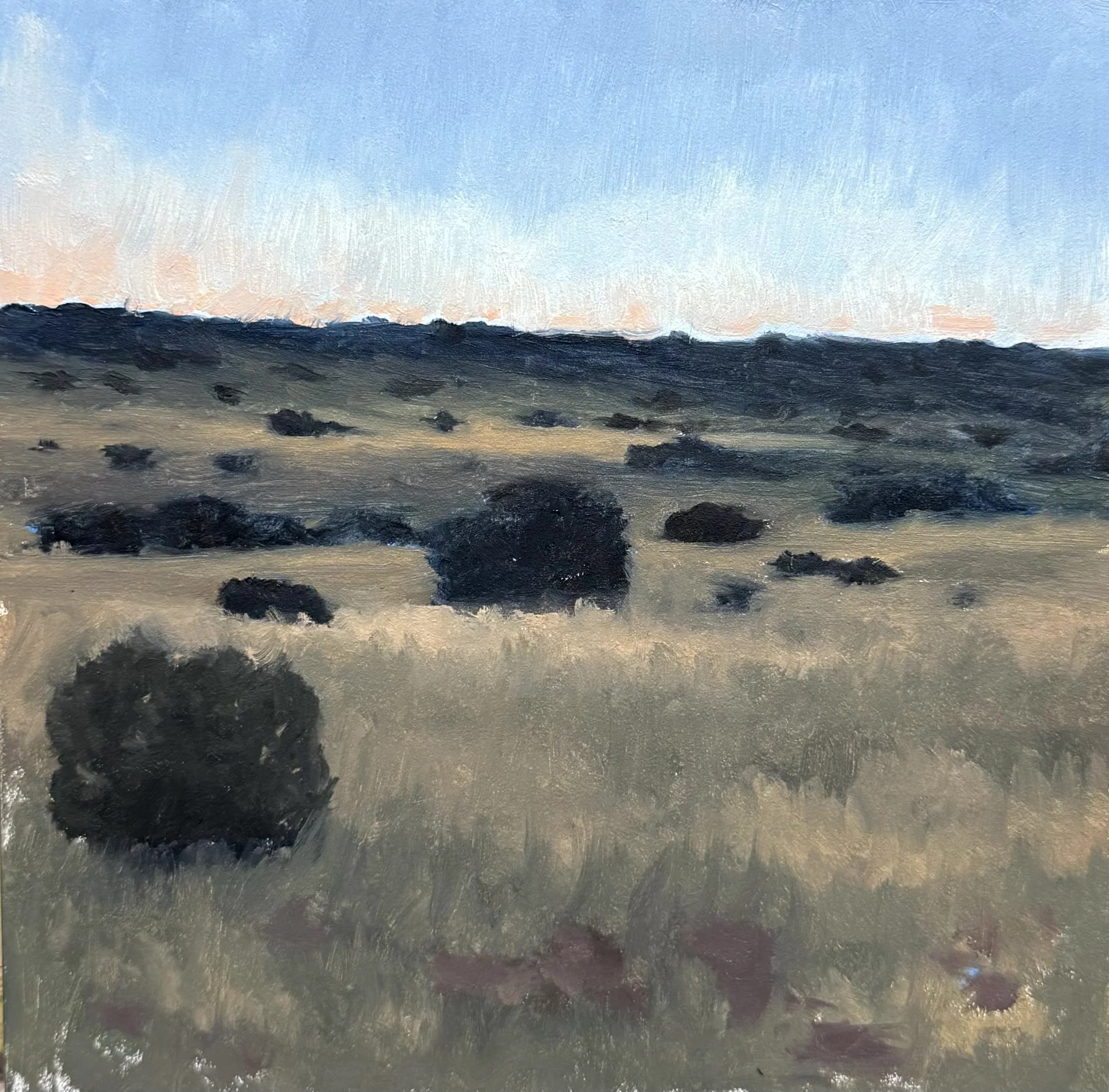 Galisteo Basin XXIII