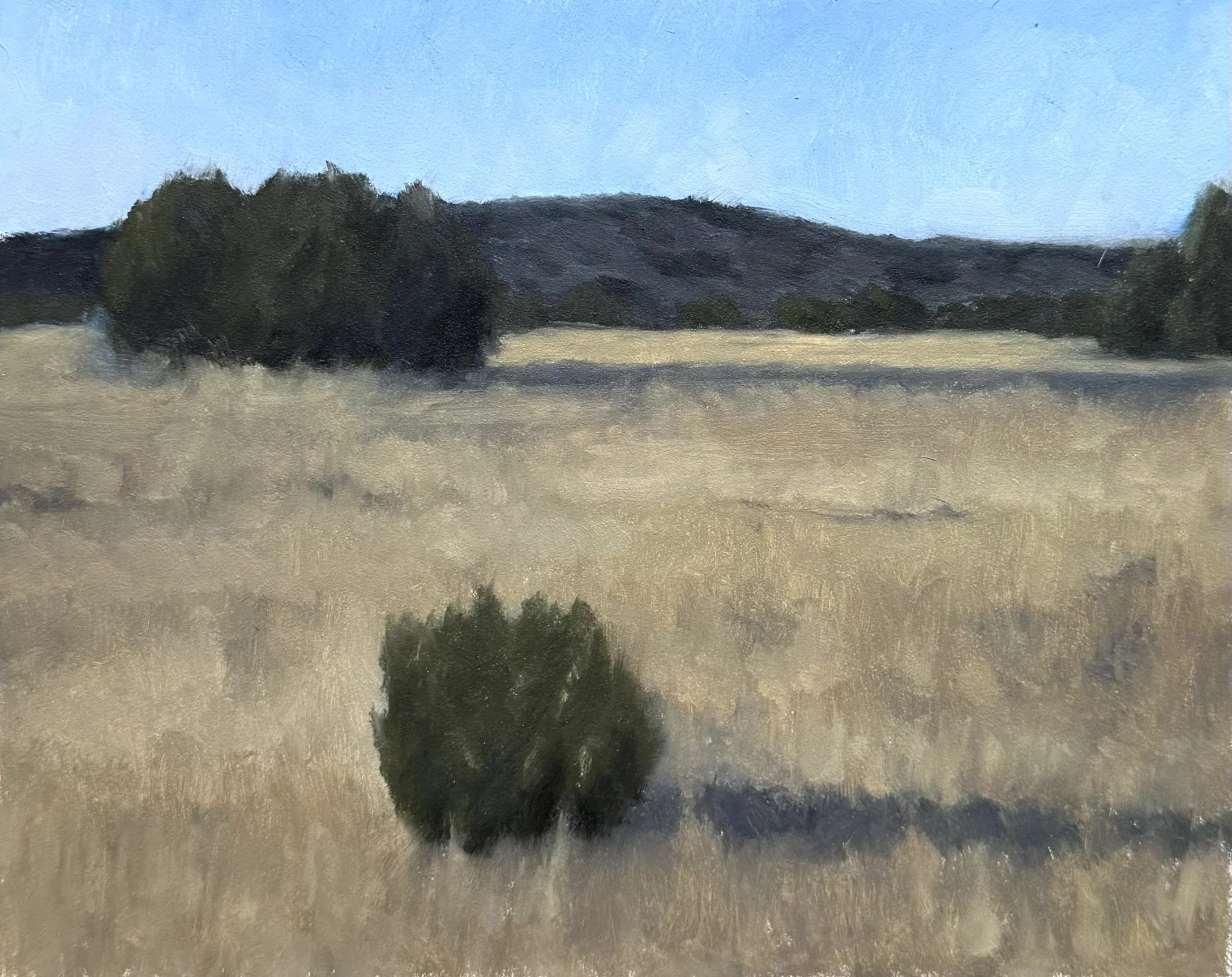 Galisteo Basin XX