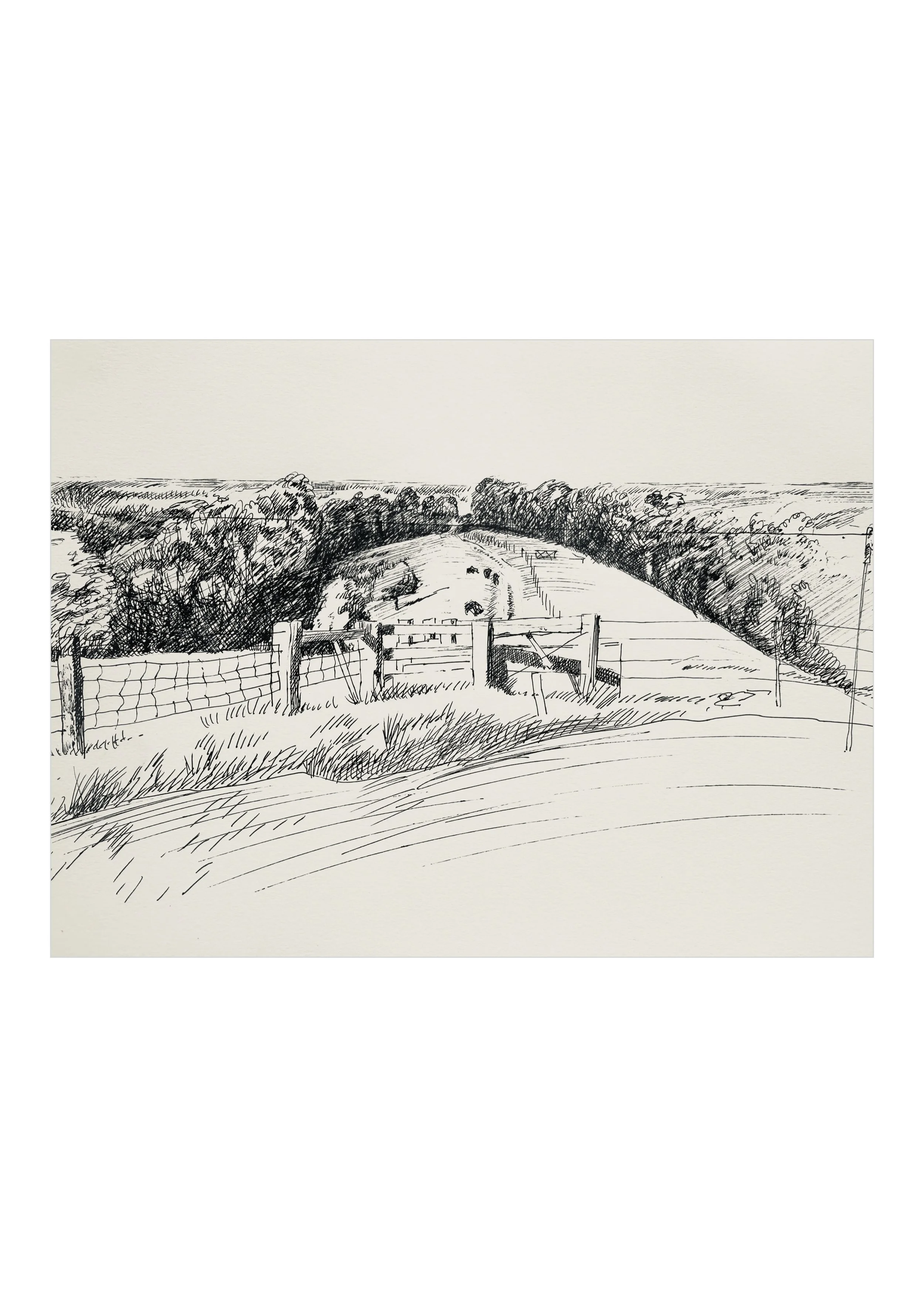 Ollie_Beeston_drawings_FEB23.016.jpeg