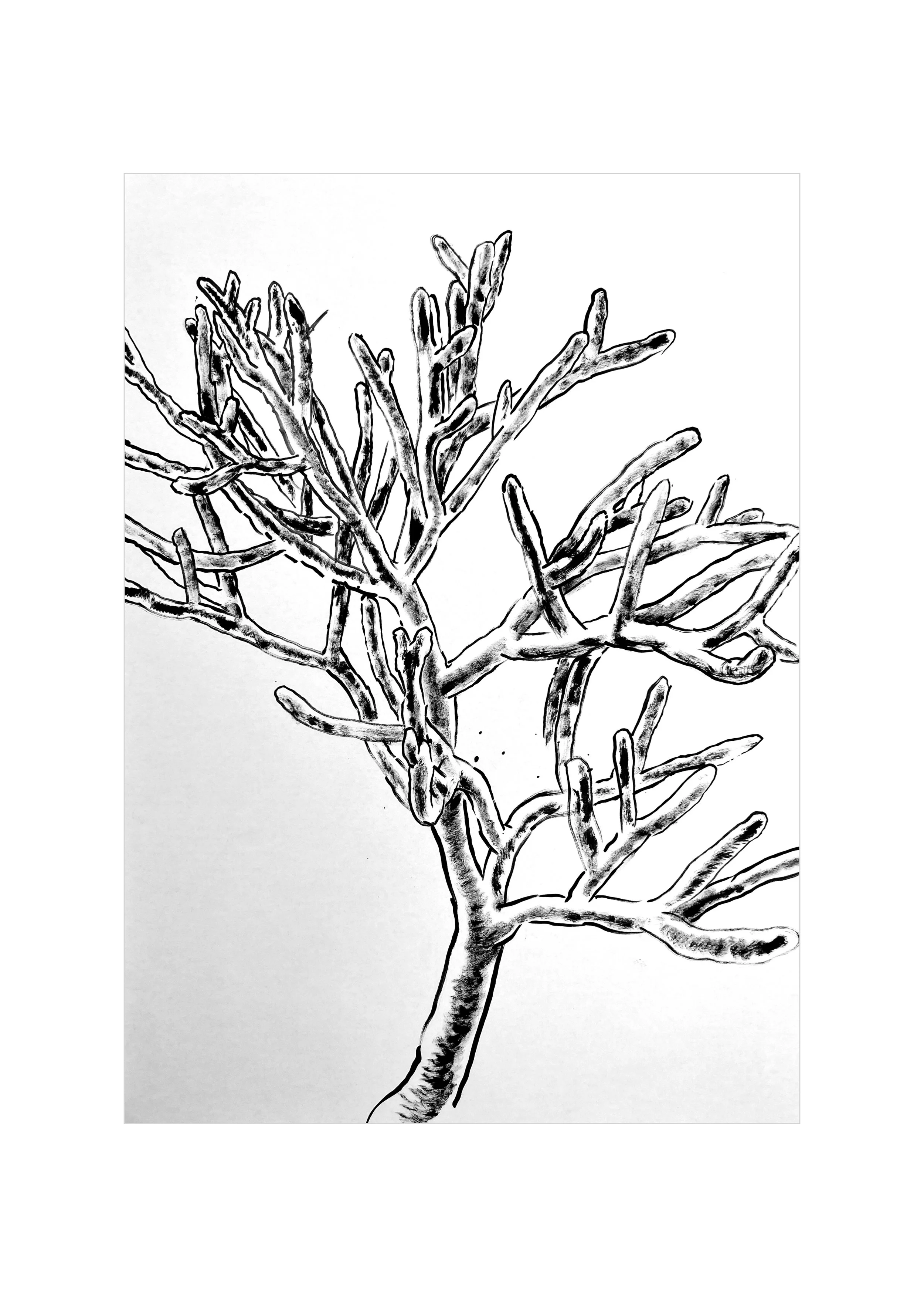 Ollie_Beeston_drawings_FEB23.076.jpeg