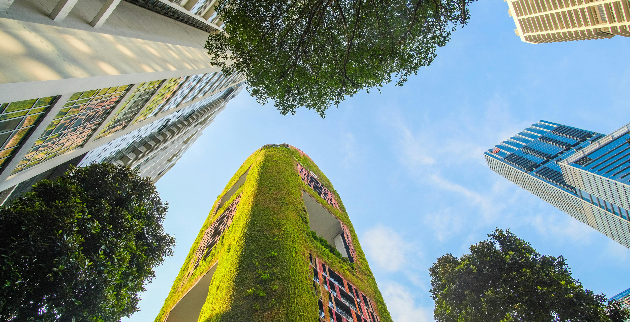 Holtara: Launching Apex Group’s Global ESG Service