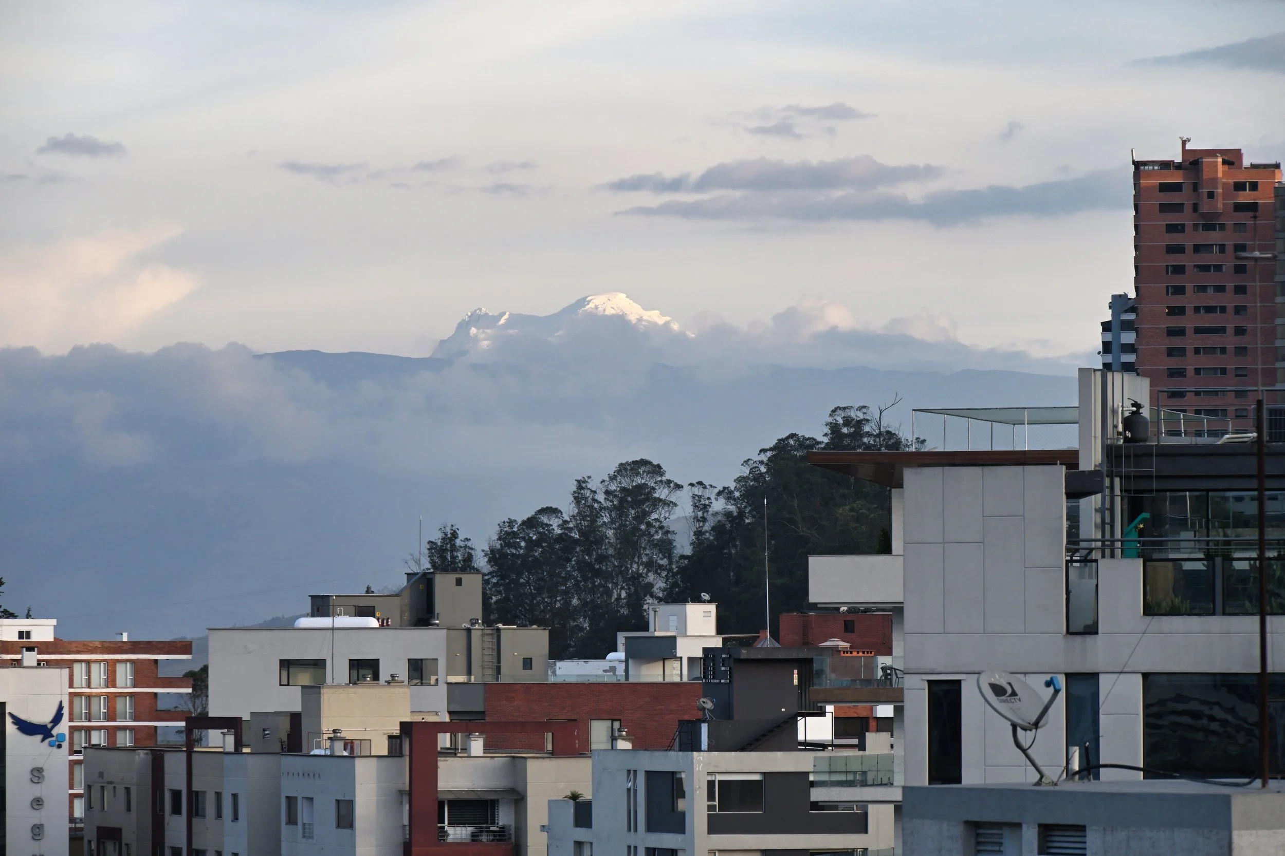 view east from my bedroom