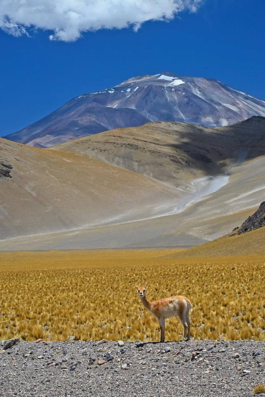  this is posing for me