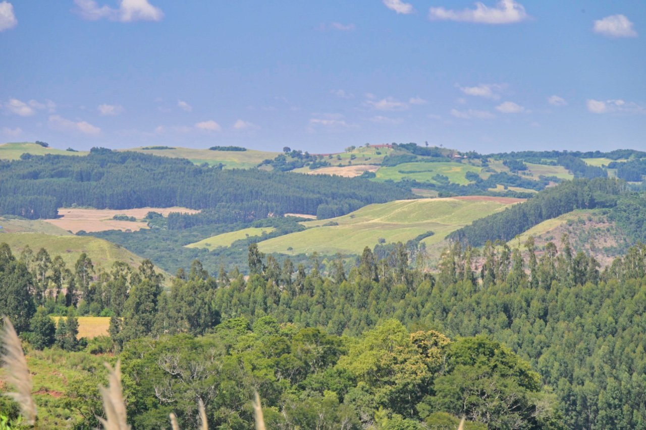  I didn't expect Brazil to look like this, but I like it