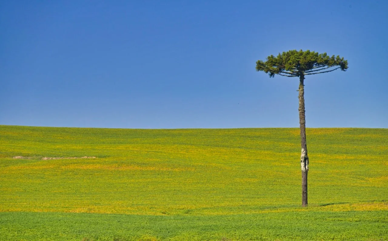 Beautiful countryside