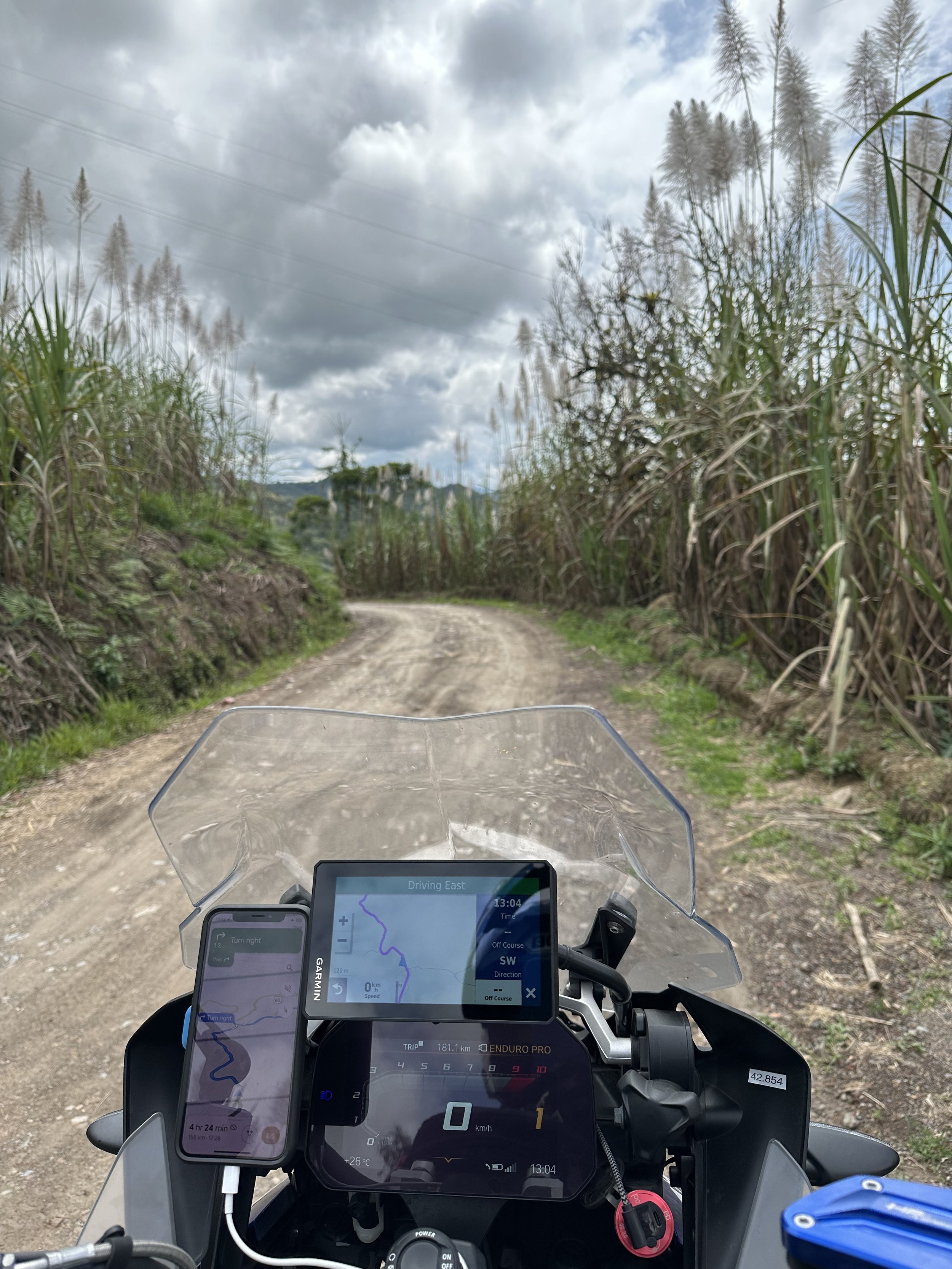tall grass, hard to navigate when you can't see anything around you 🙄